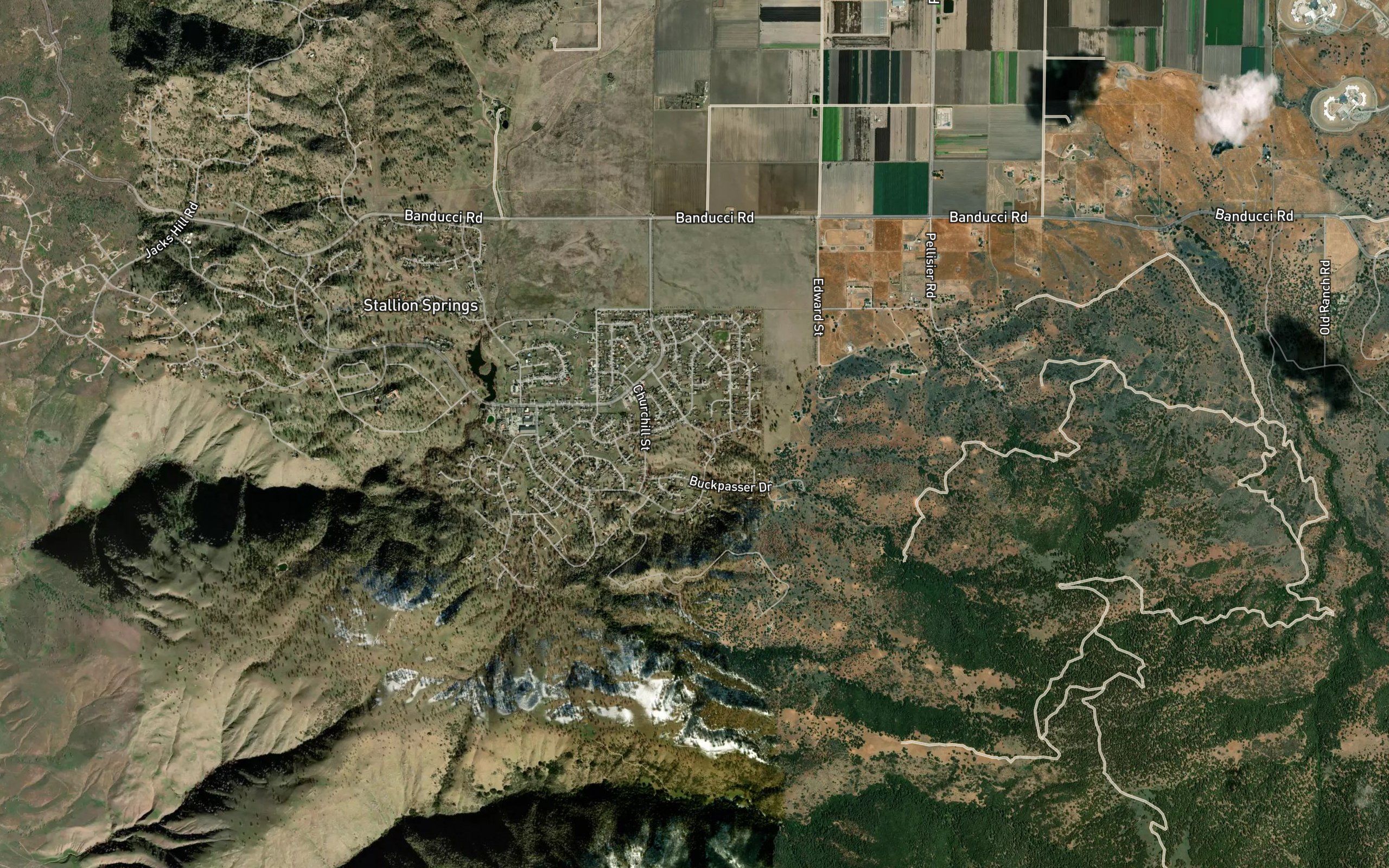 El Arroyo de los Encinos