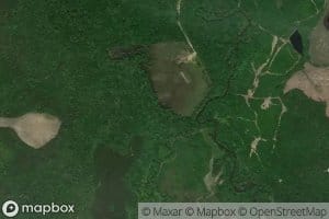 Williamson Swamp Creek