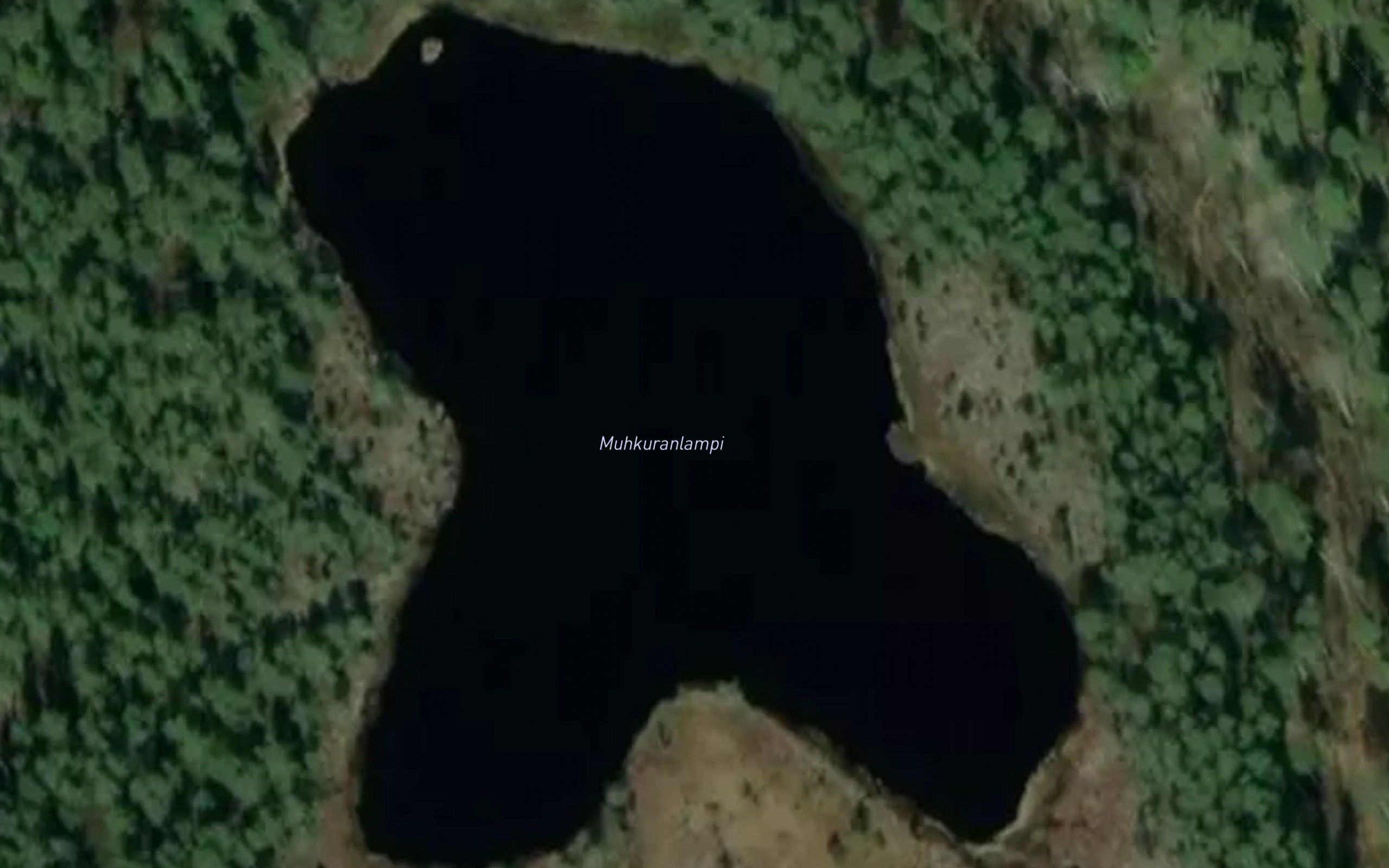 Muhkuranlampi