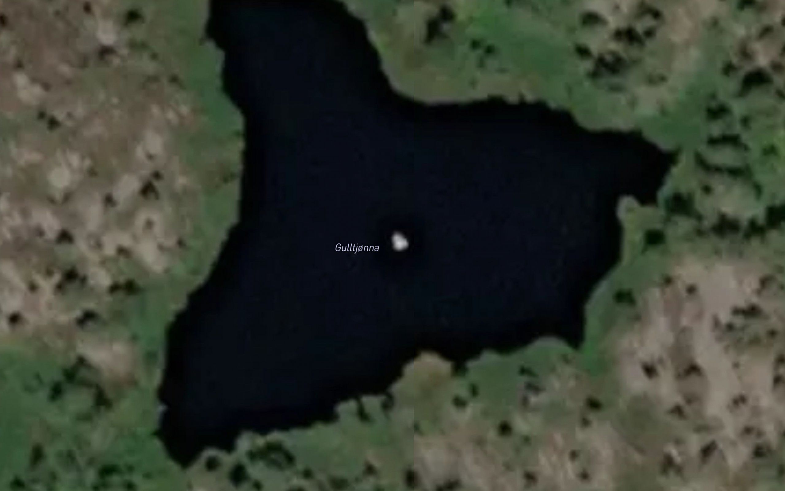 Gulltjonna