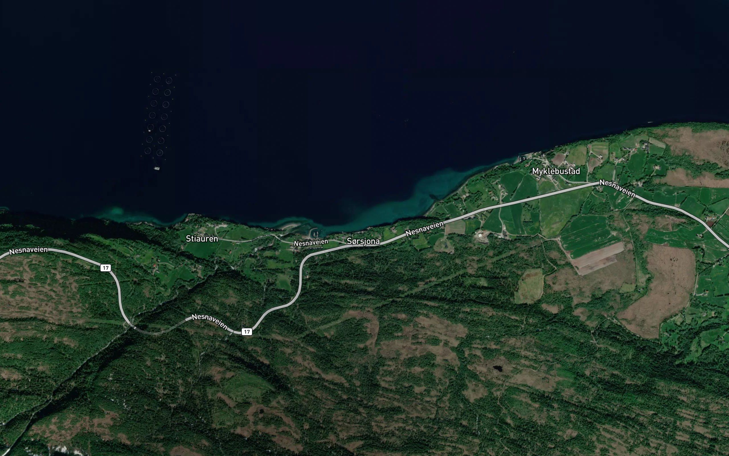 Tettingvika