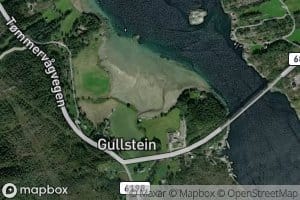 Gullsteinfjora