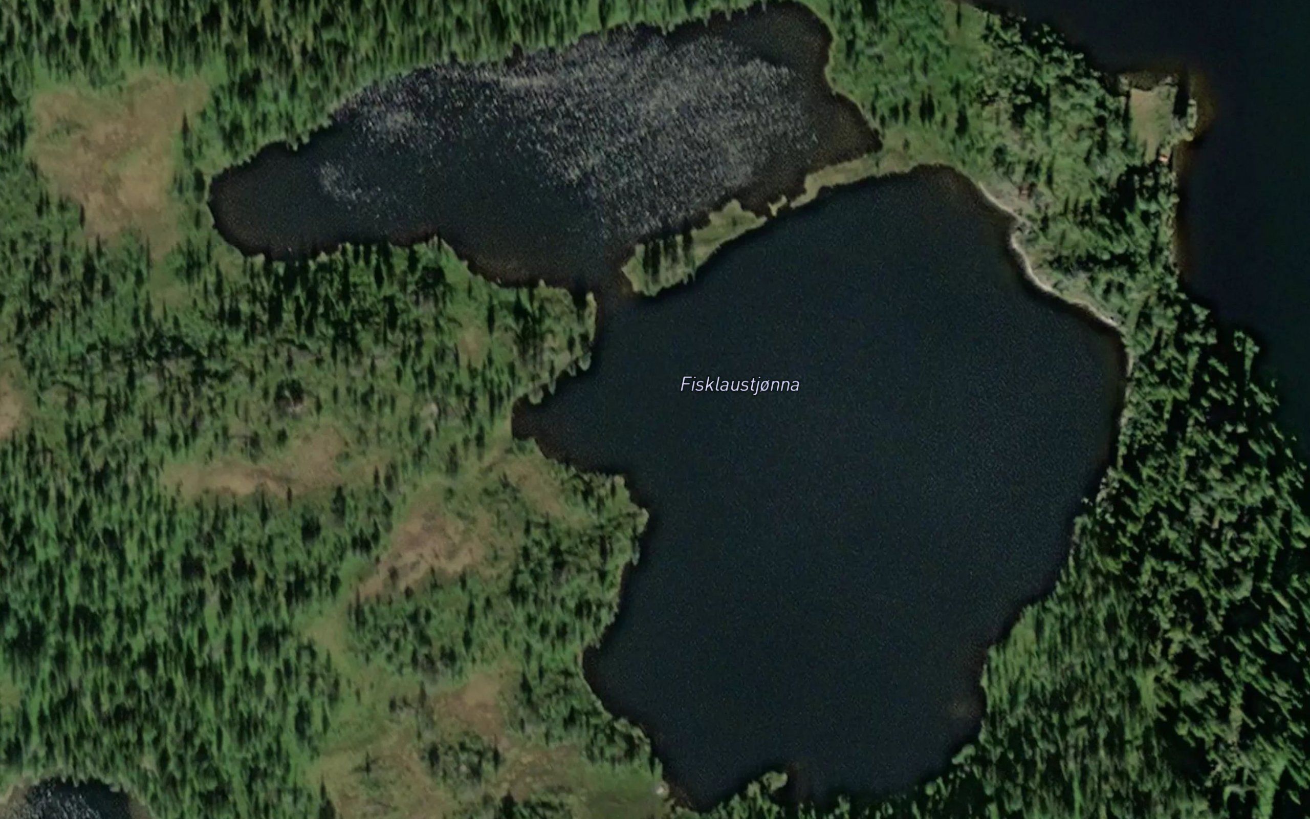 Fisklaustjonna