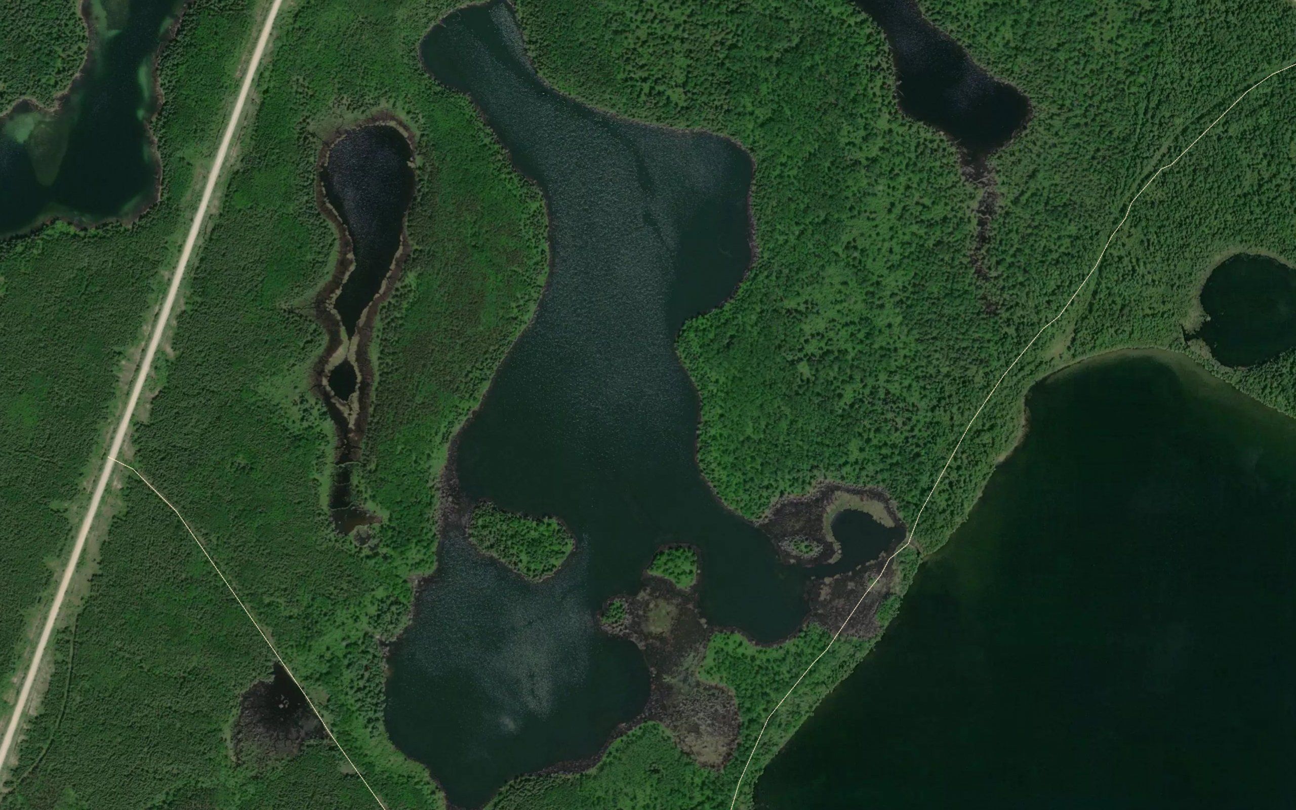 Louise Lake