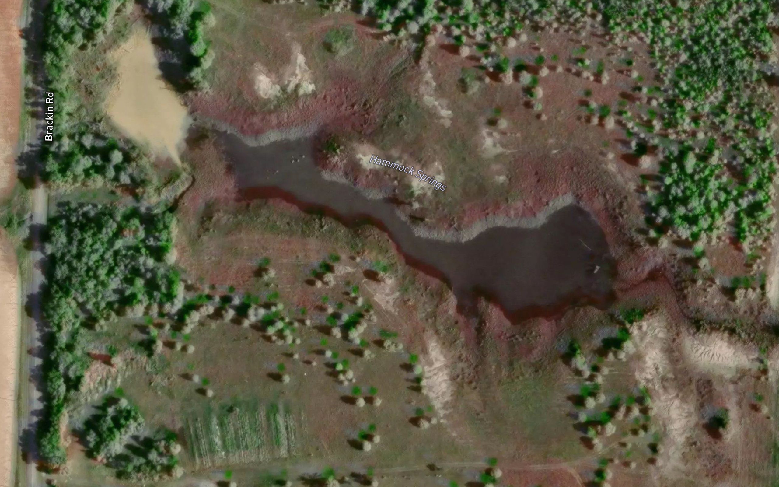 Hammock Springs