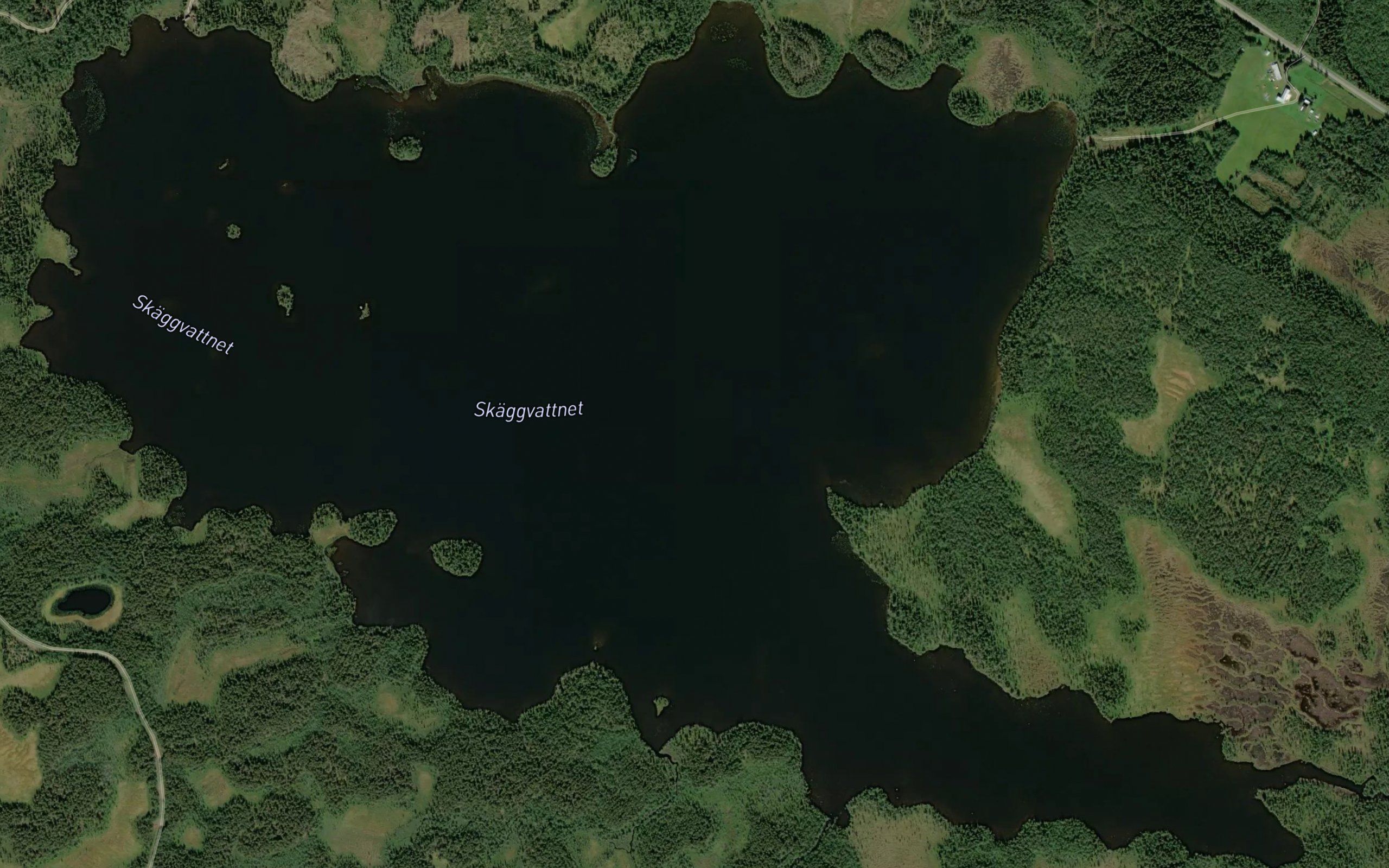 Skaggtrasket