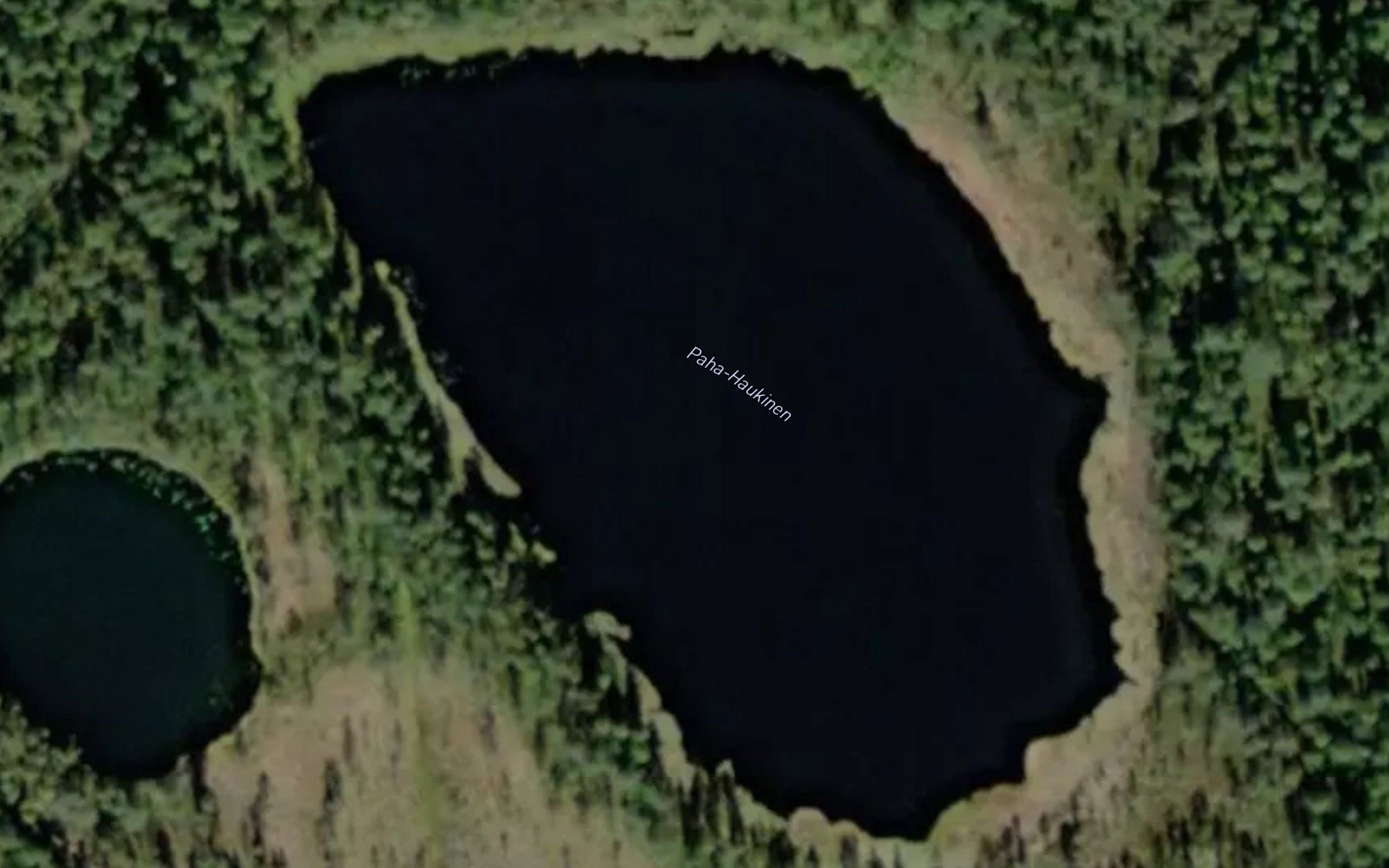 Paha-Haukinen