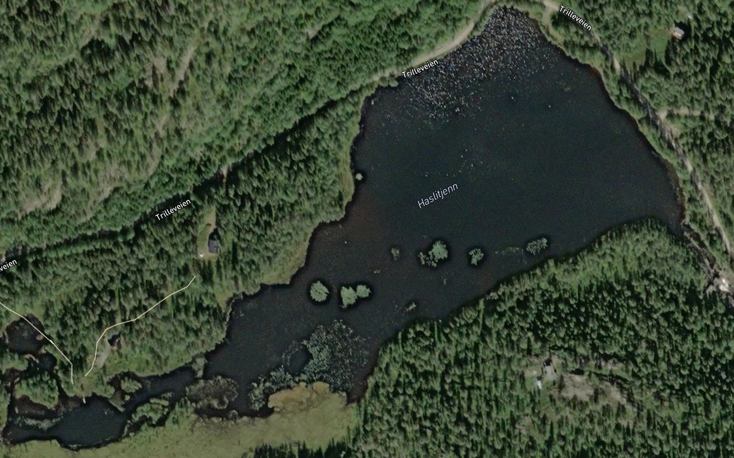 Haslitjorna