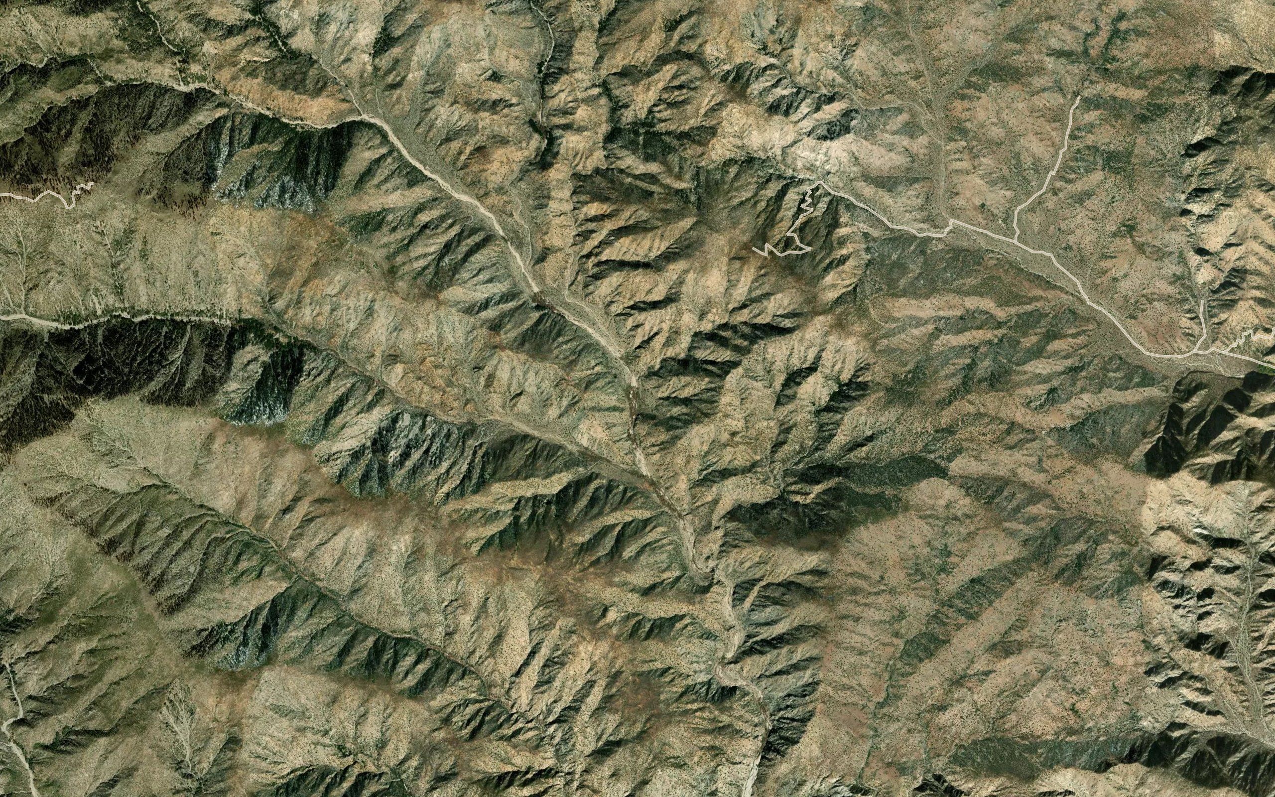 Forks Springs