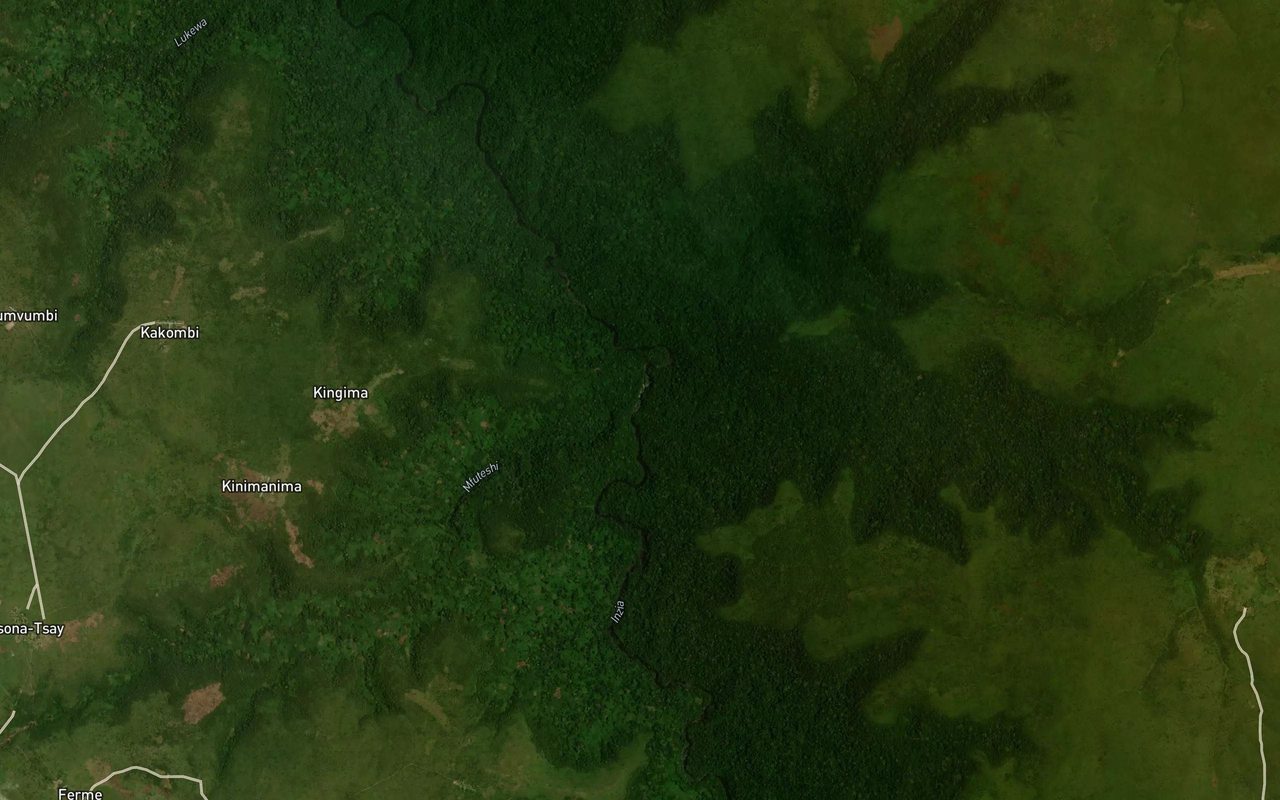 Mfutasi