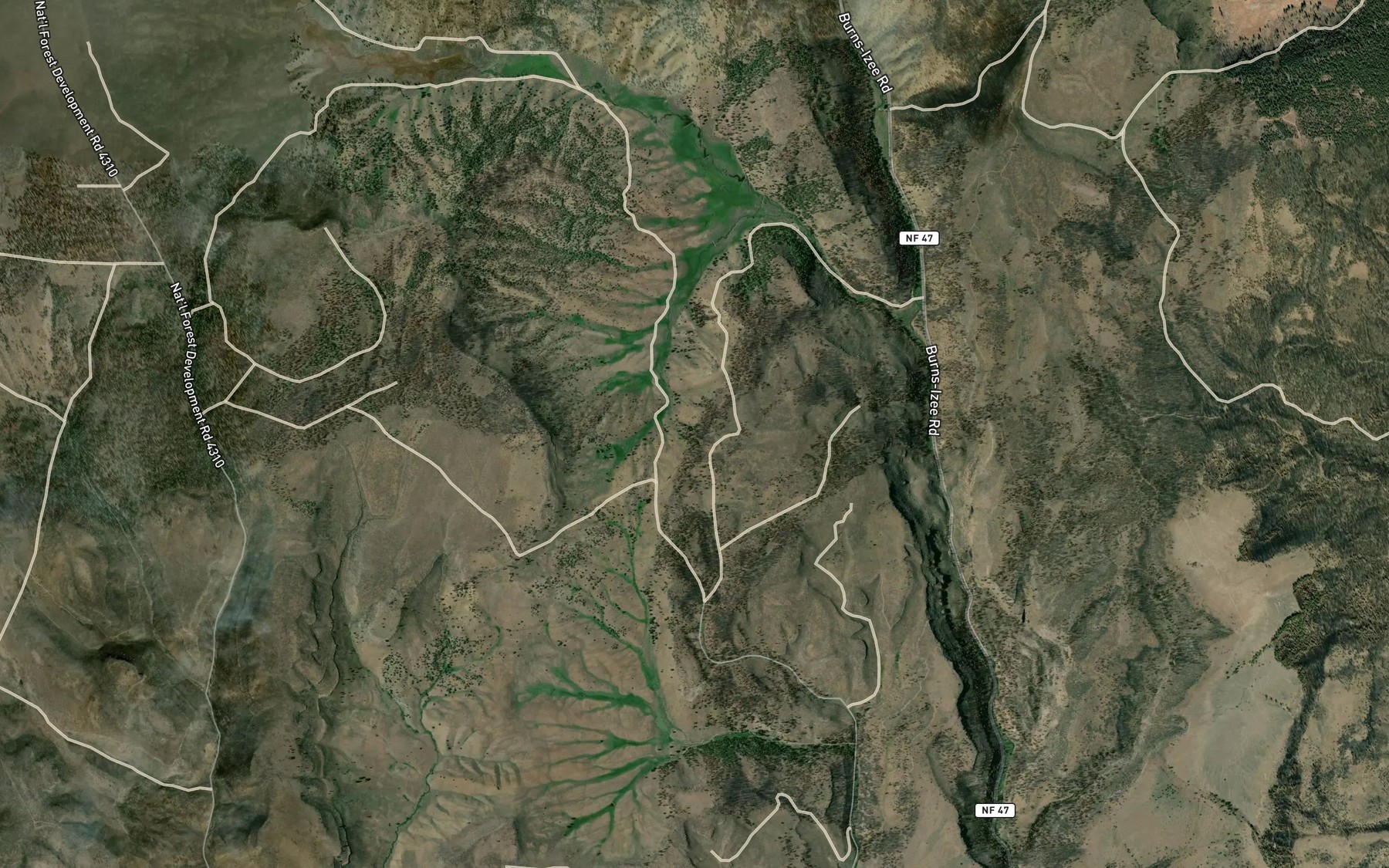 Satellite map of the Ramsey Spring