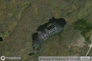 Lac Alice