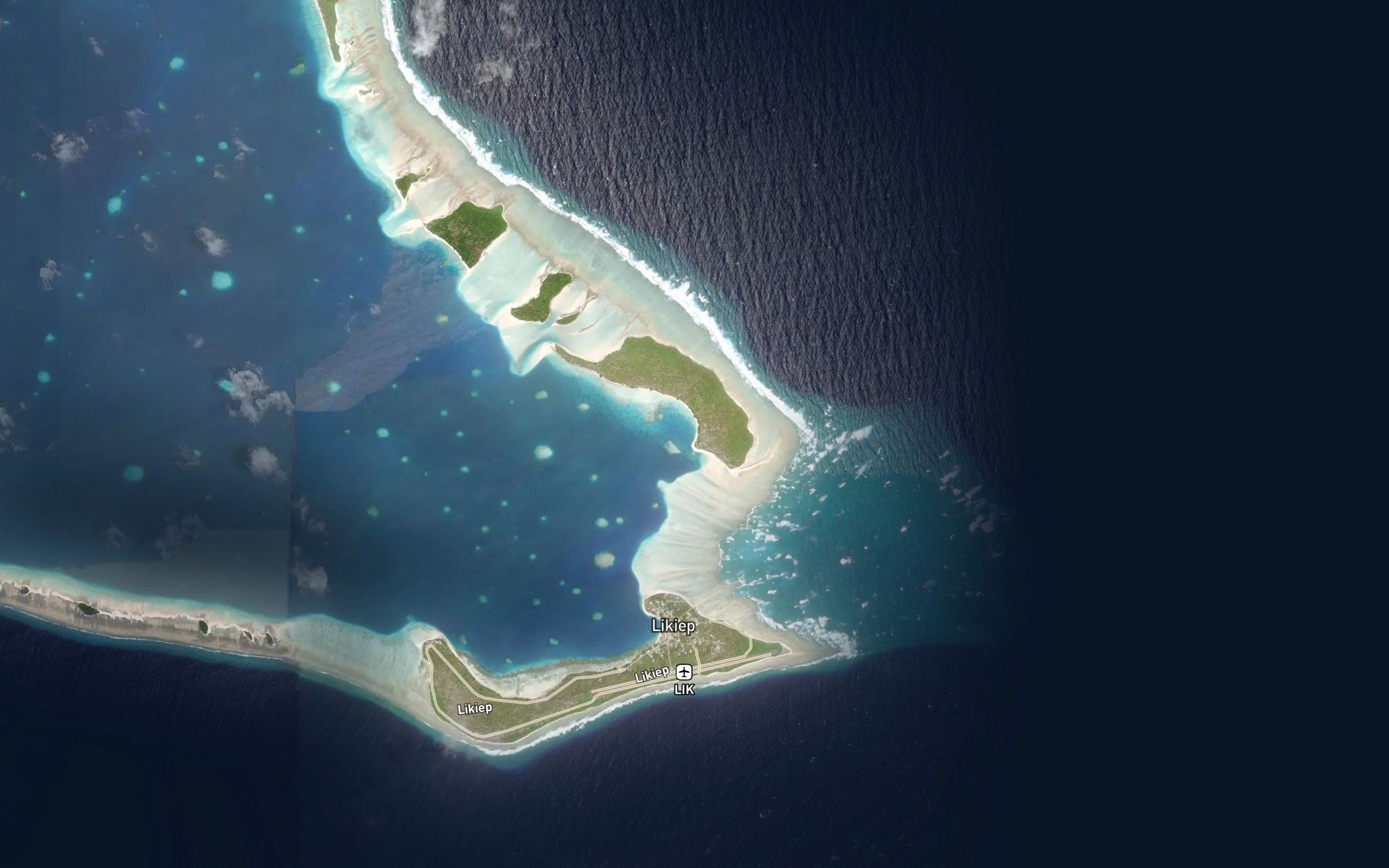 Giant Clam hatchery