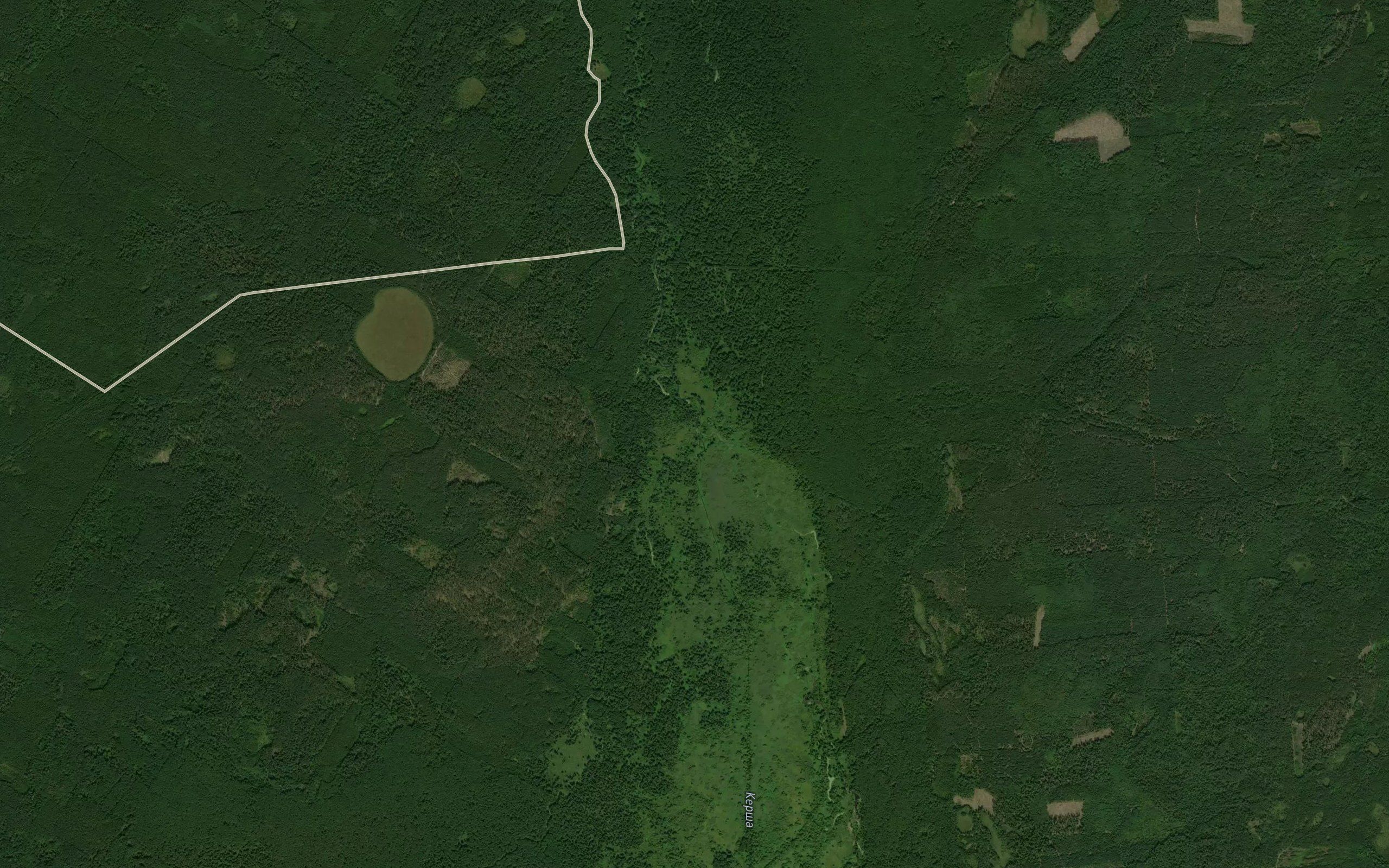 Khmelina