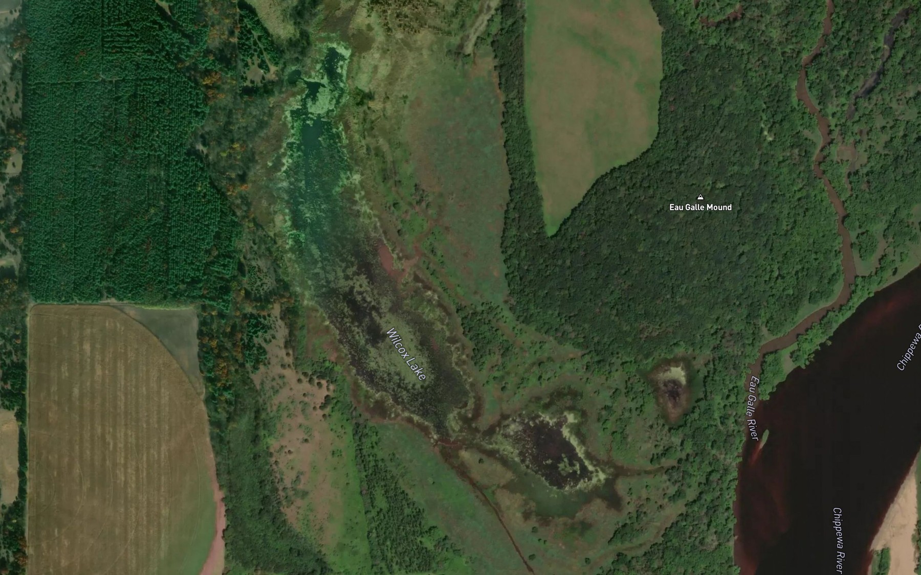 Satellite map of the Wilcox Lake