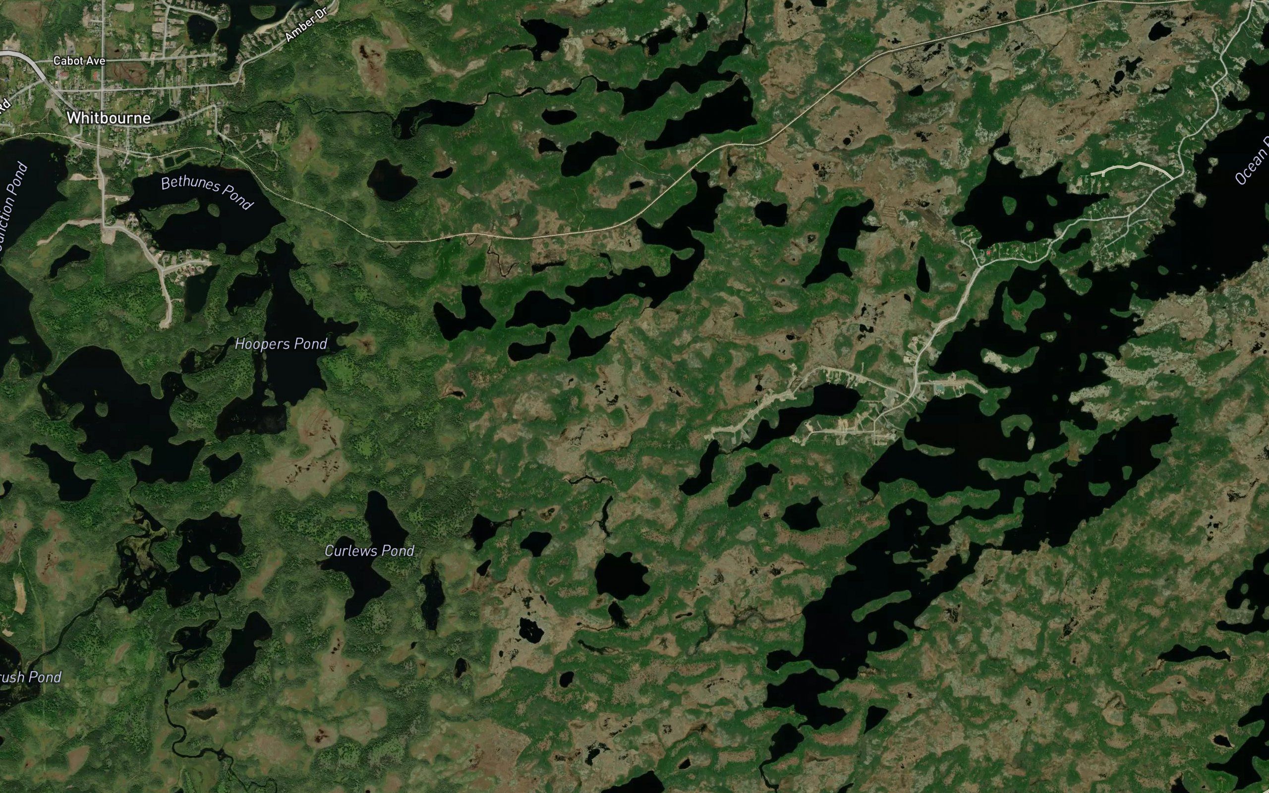 Ohman's Pond