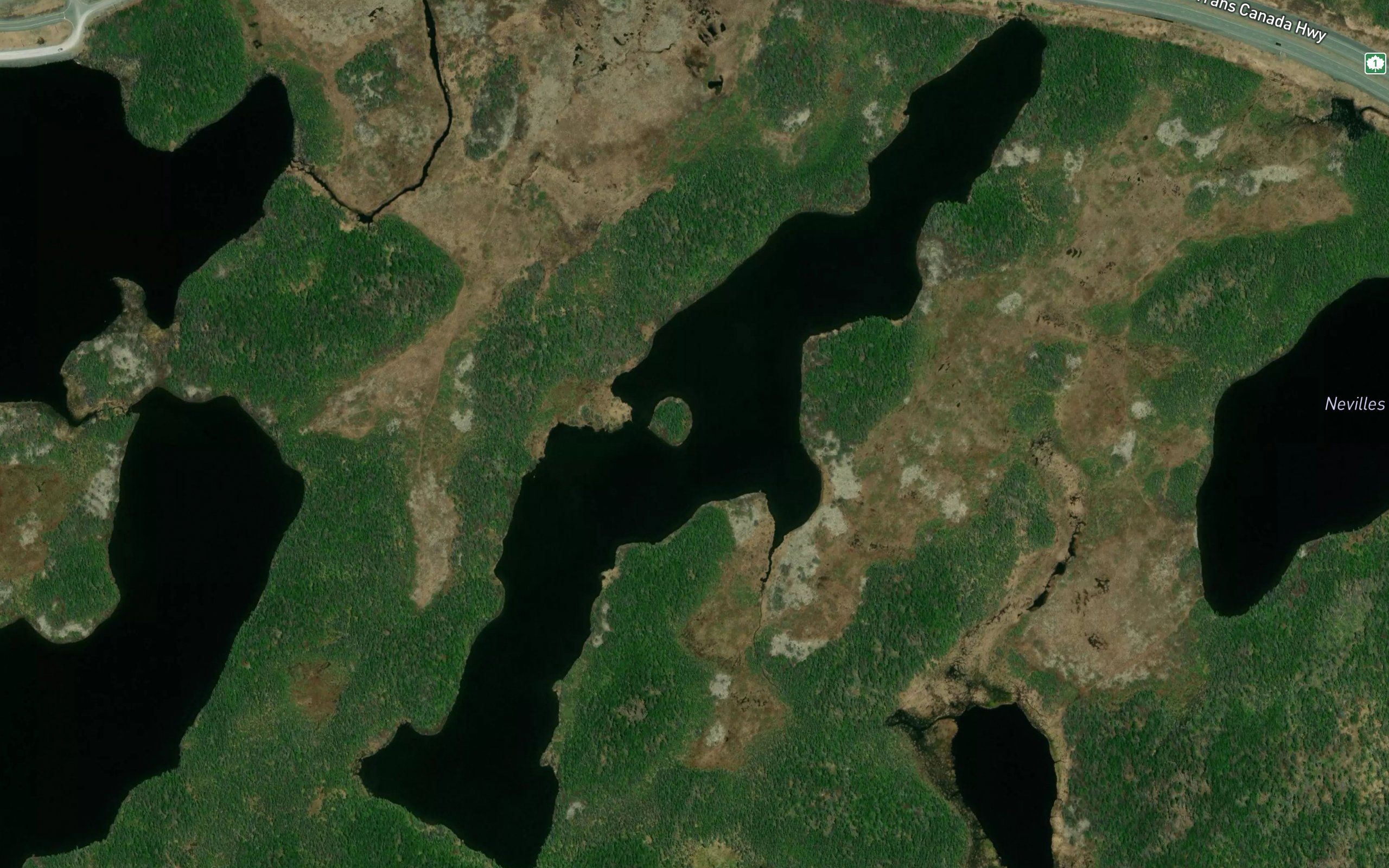 Jacks Long Pond