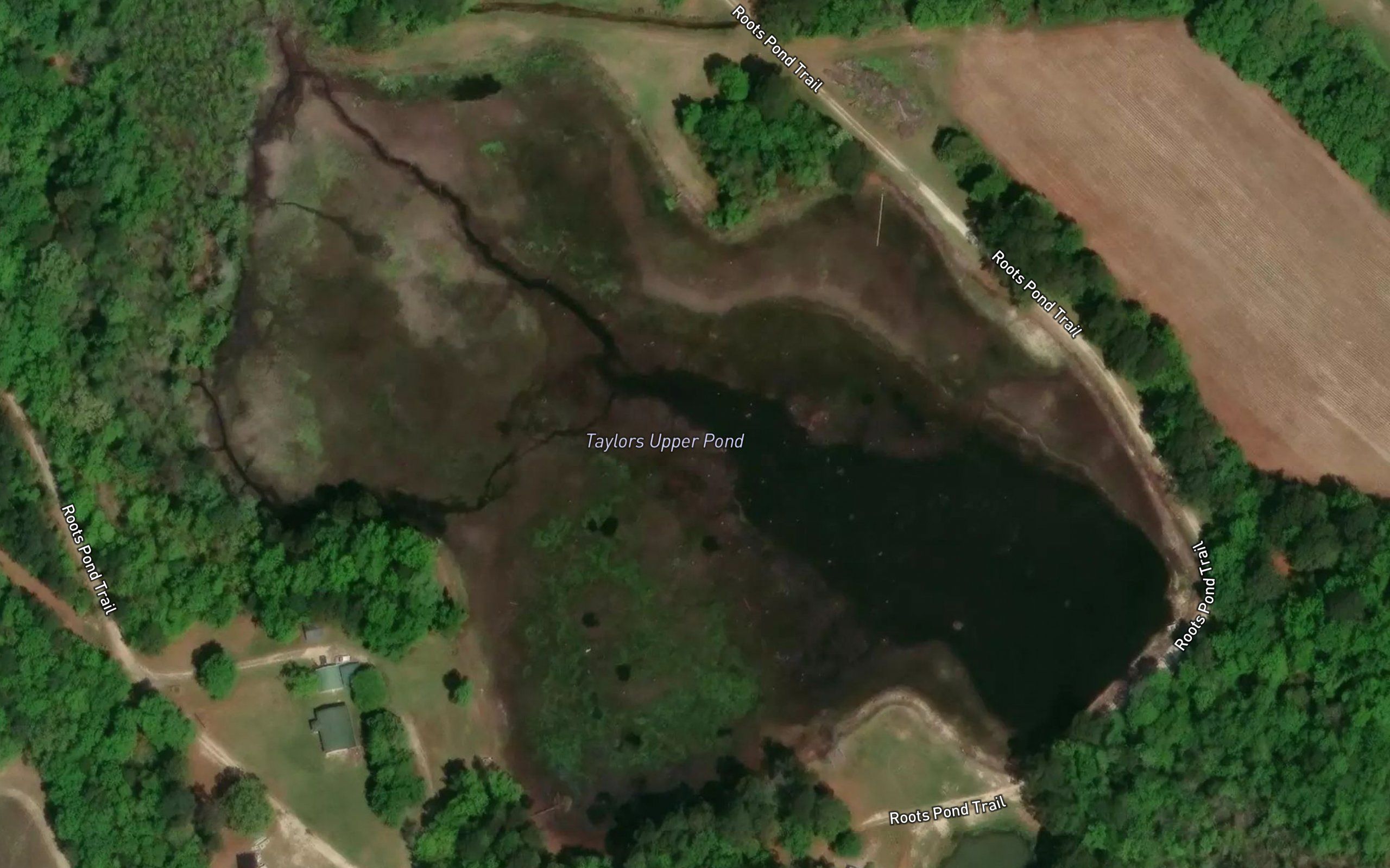 Taylors Upper Pond