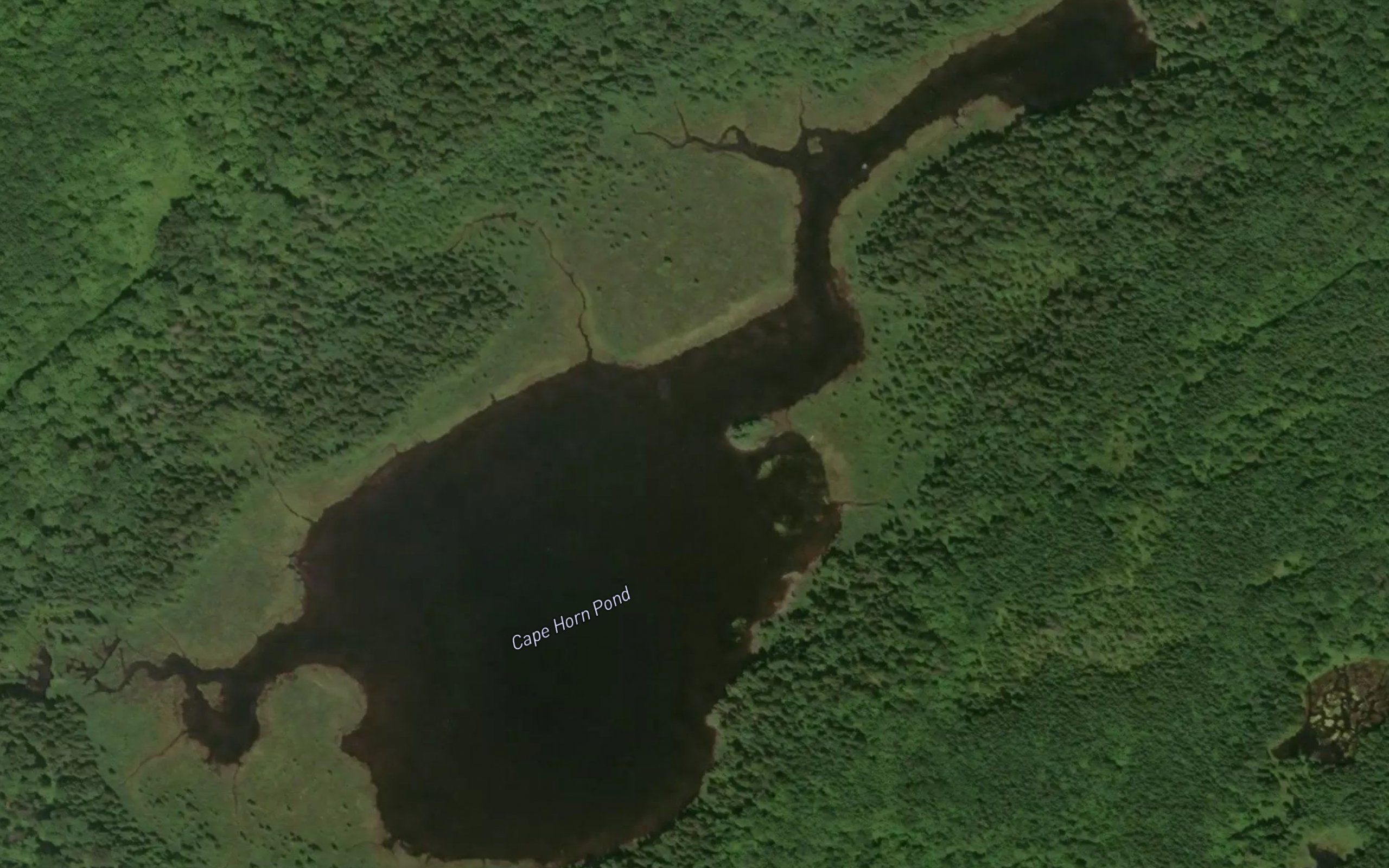 Cape Horn Pond