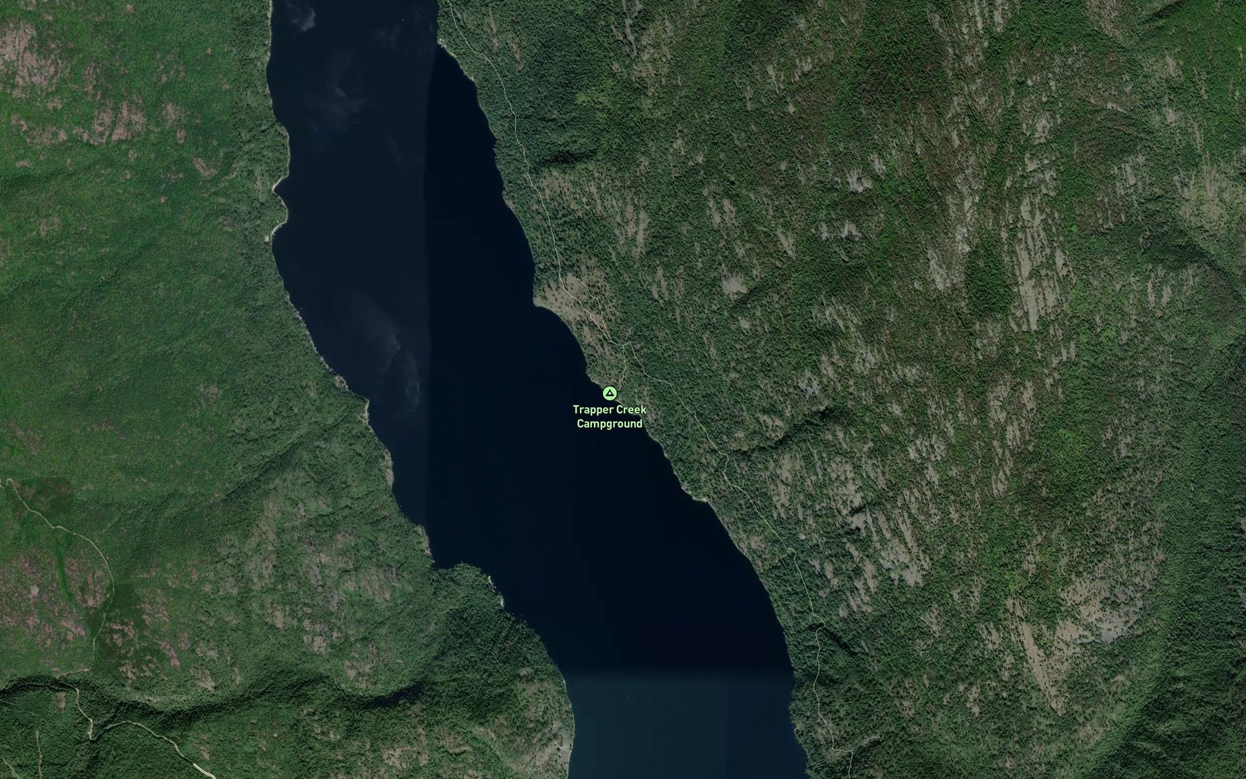 Satellite map of the Trapper Creek