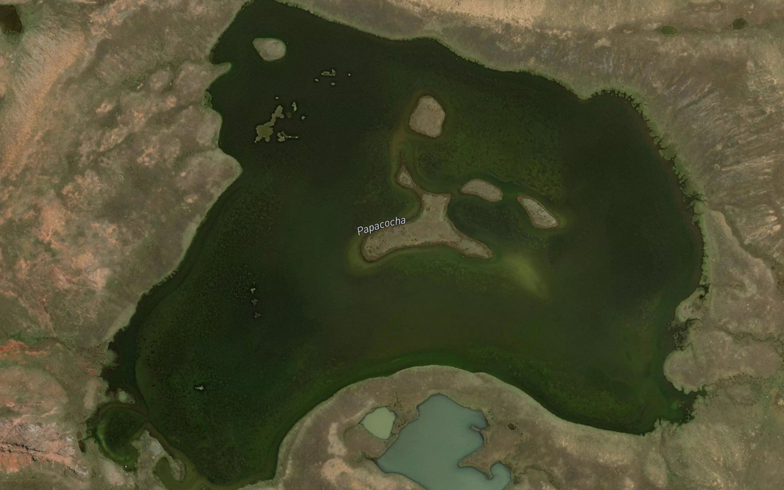 Laguna Papacocha
