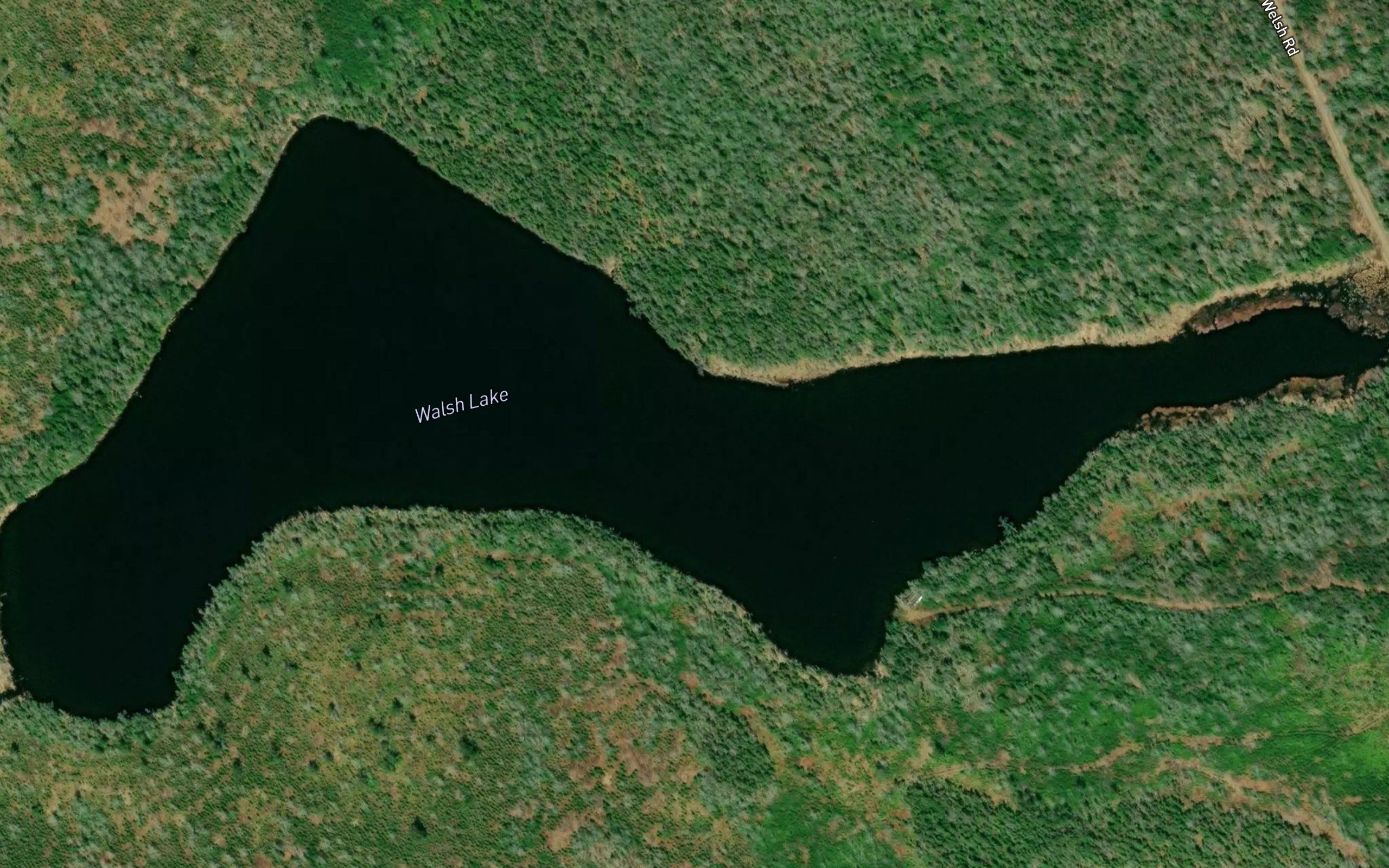 Walsh Lake