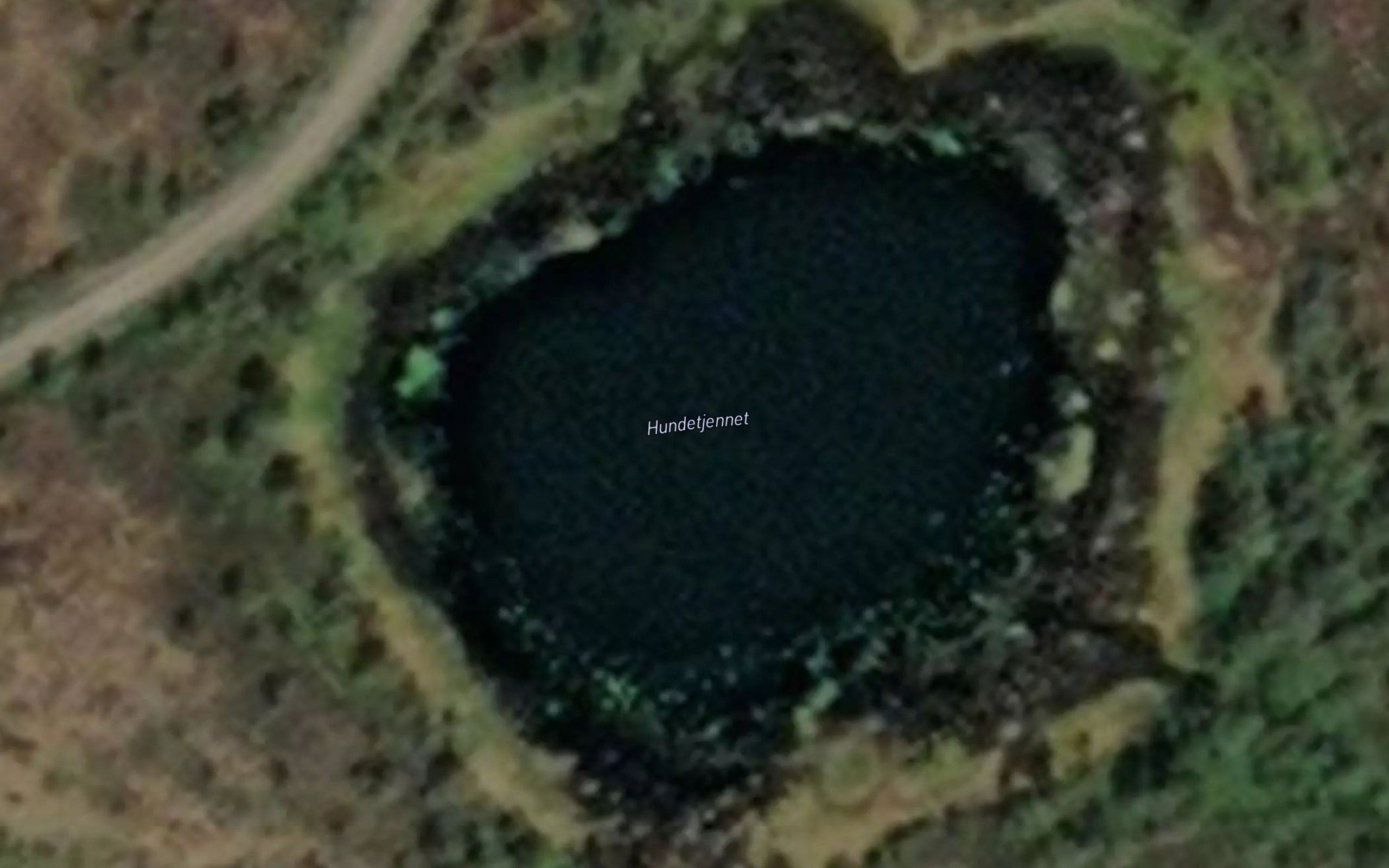 Hundetjennet
