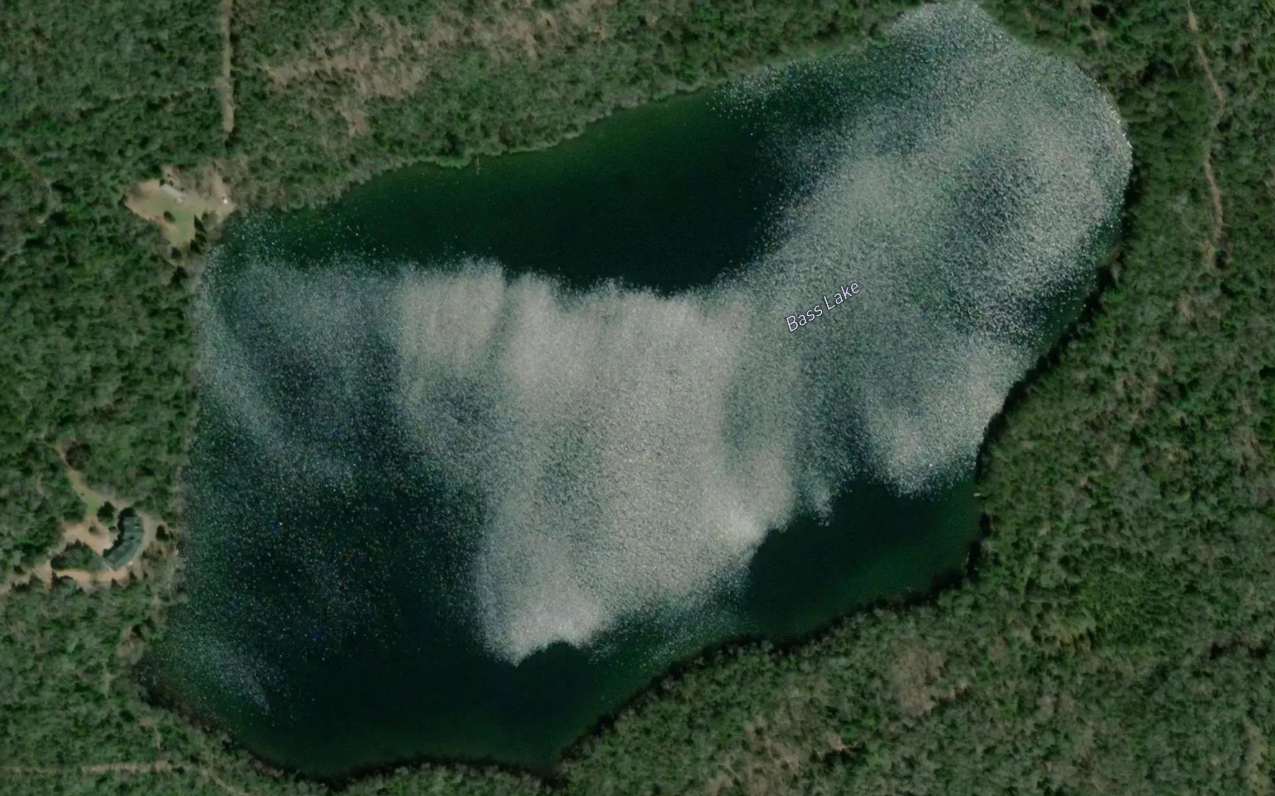 Bass Lake