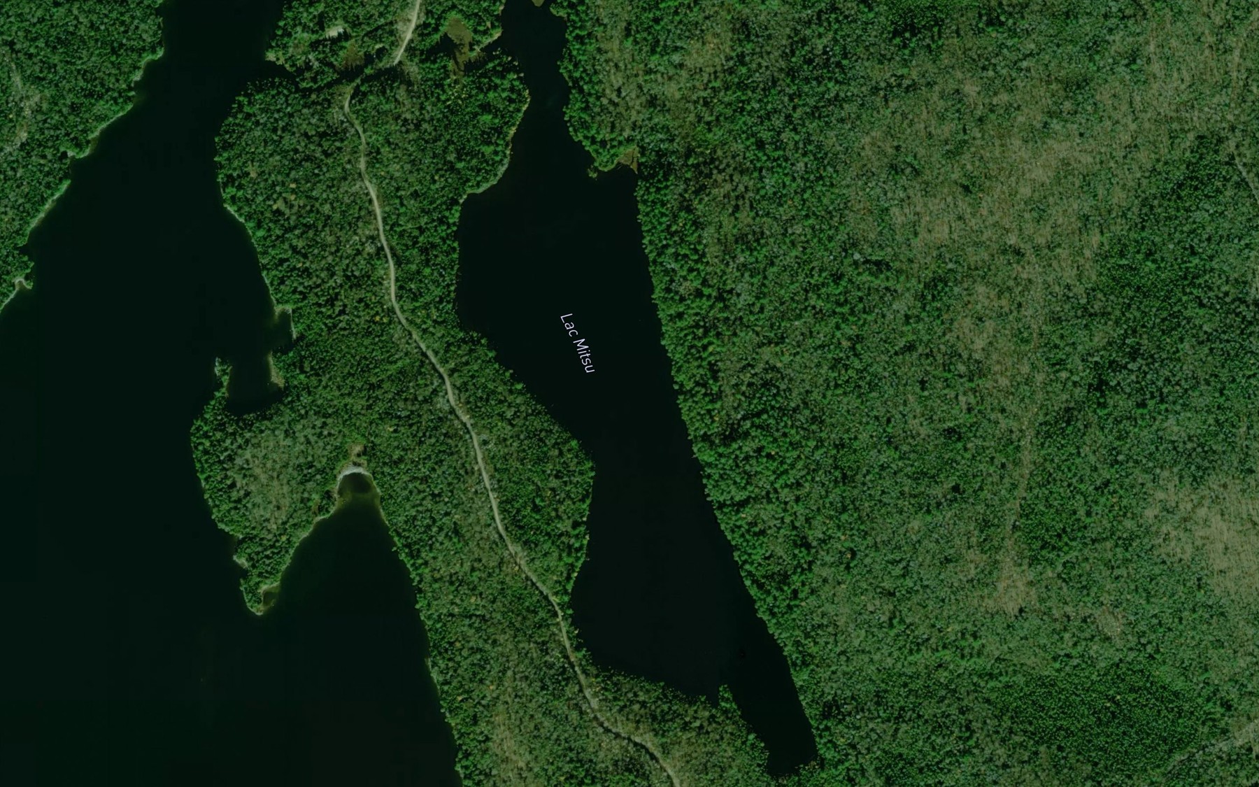 Satellite map of the Lac Mitsu