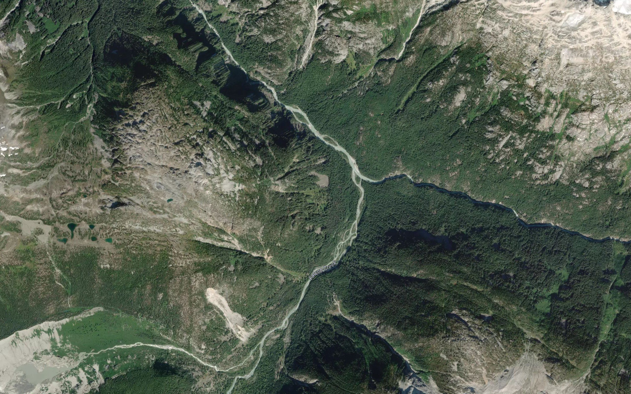 Falcon Creek