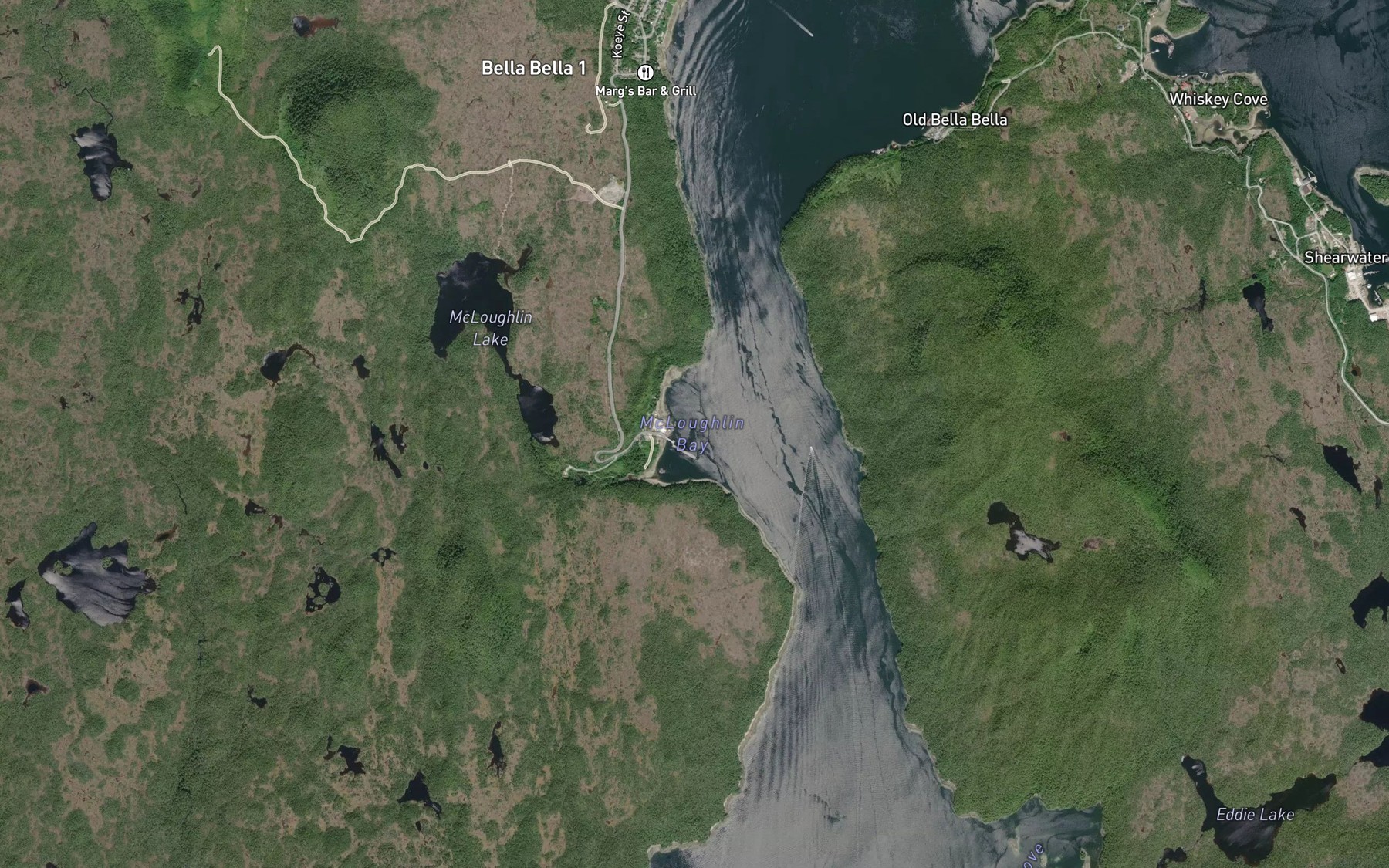 Satellite map of the McLoughlin Bay