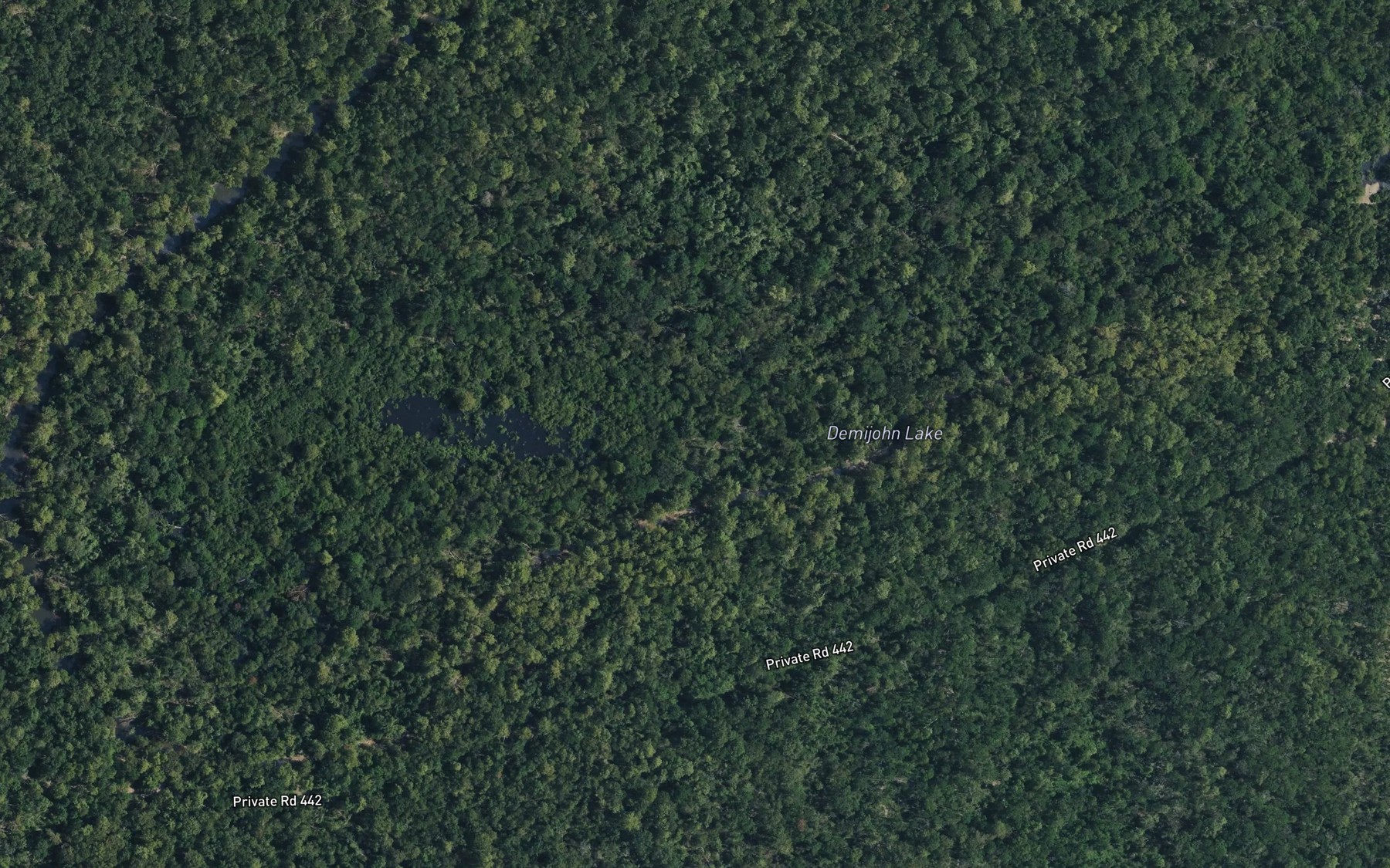 Satellite map of the Demijohn Lake