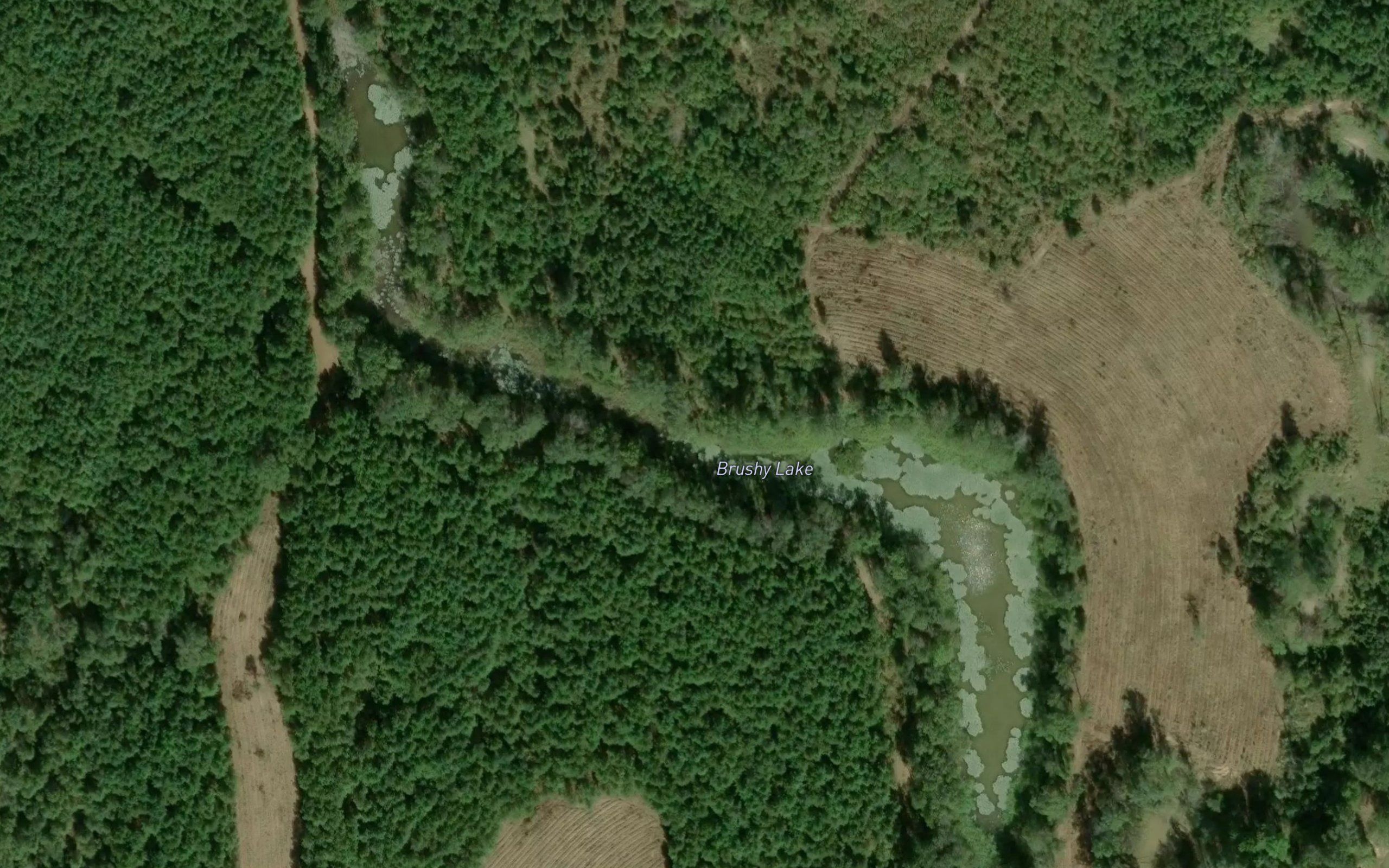 Brushy Lake