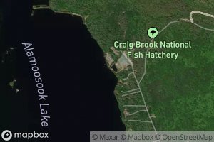 Satellite map of the Craig Pond Brook