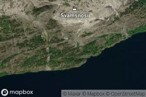 Svamsgyldre