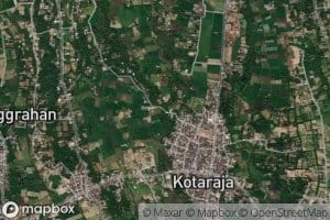 Kokok Temuan