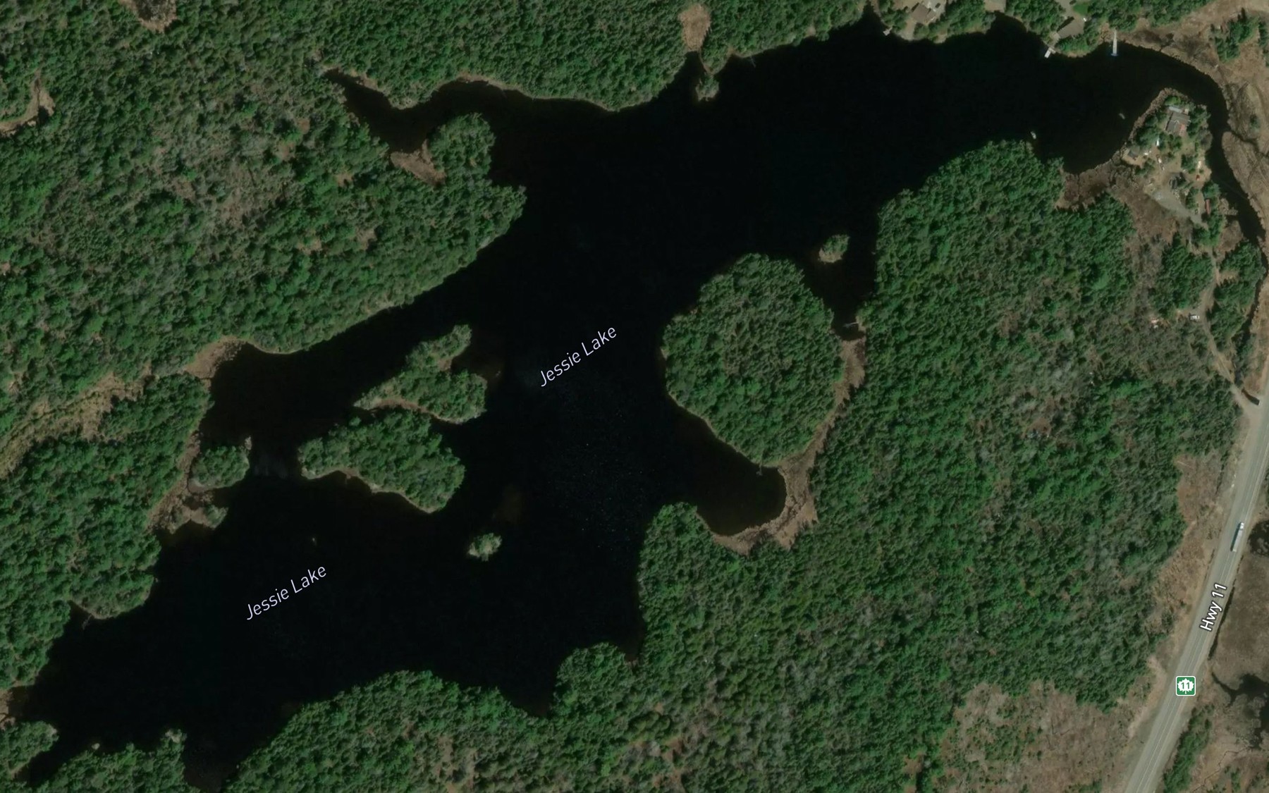 Satellite map of the Jessie Lake