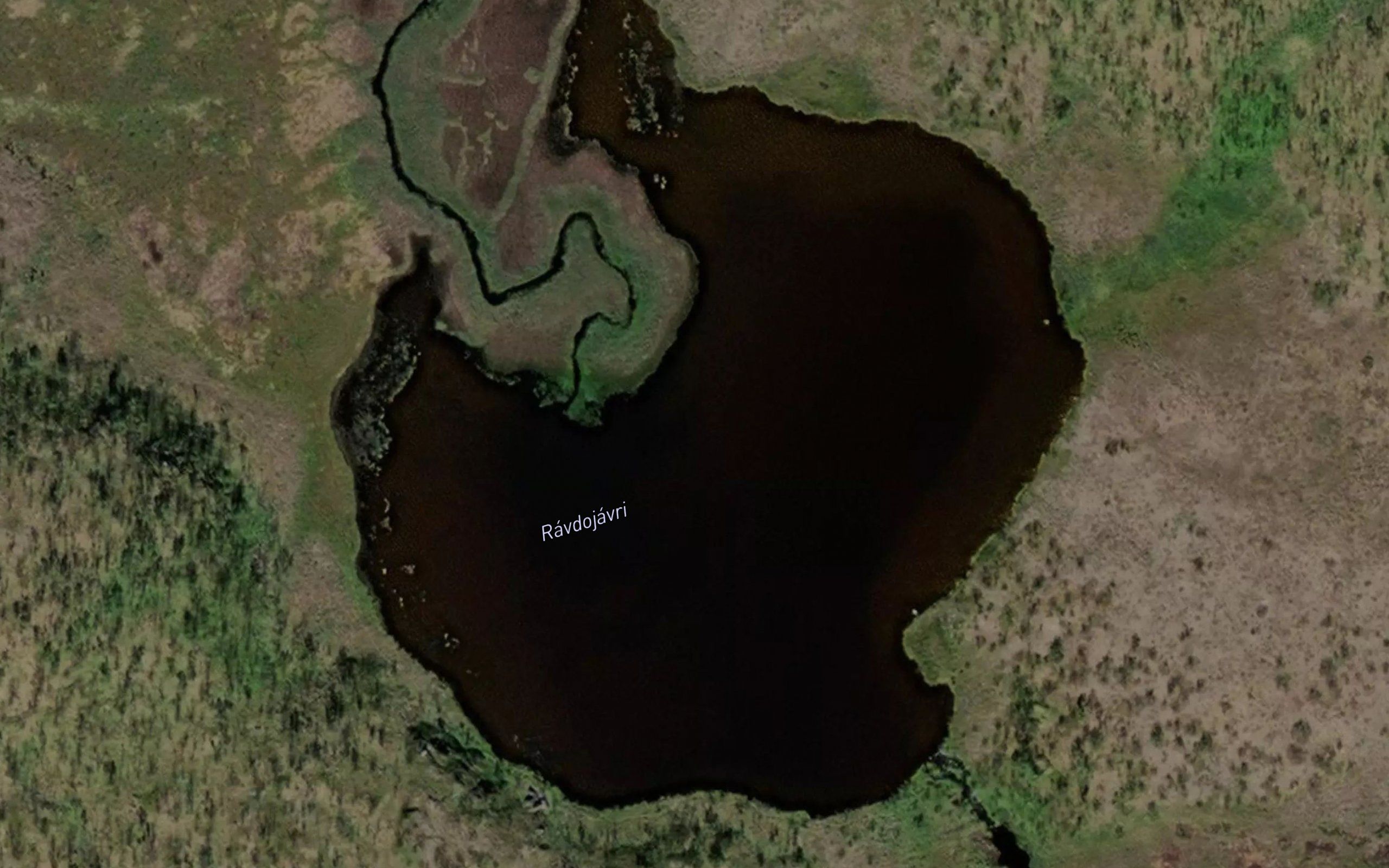 Ravdujavri