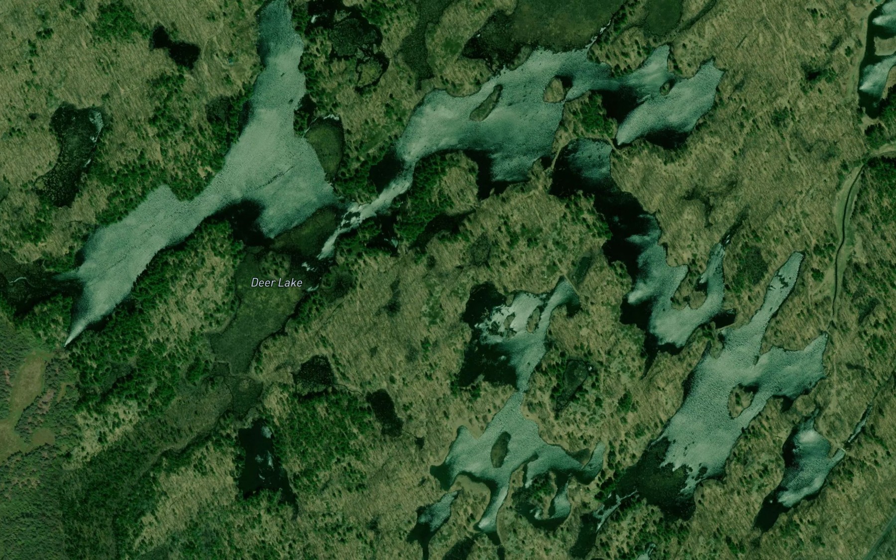 Satellite map of the Deer Lake