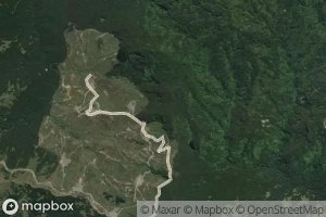Satellite map of the Te Rimuroa Stream