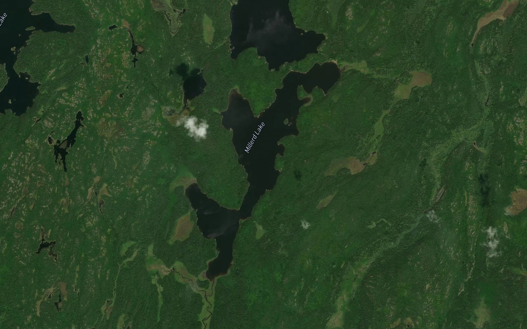Satellite map of the Millerd Lake