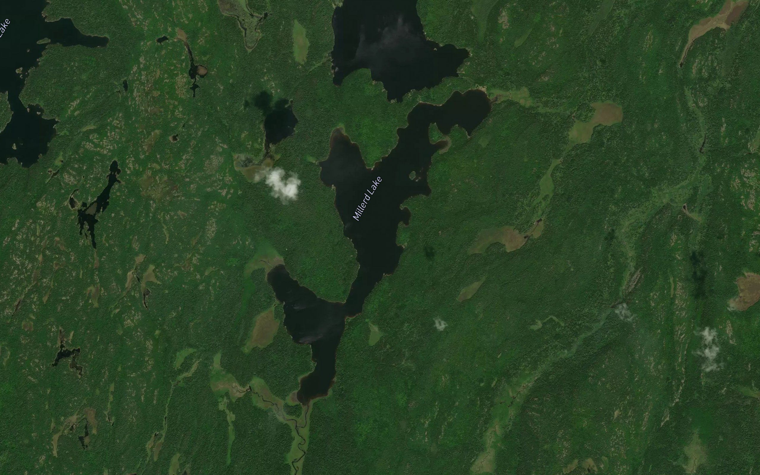 Millerd Lake