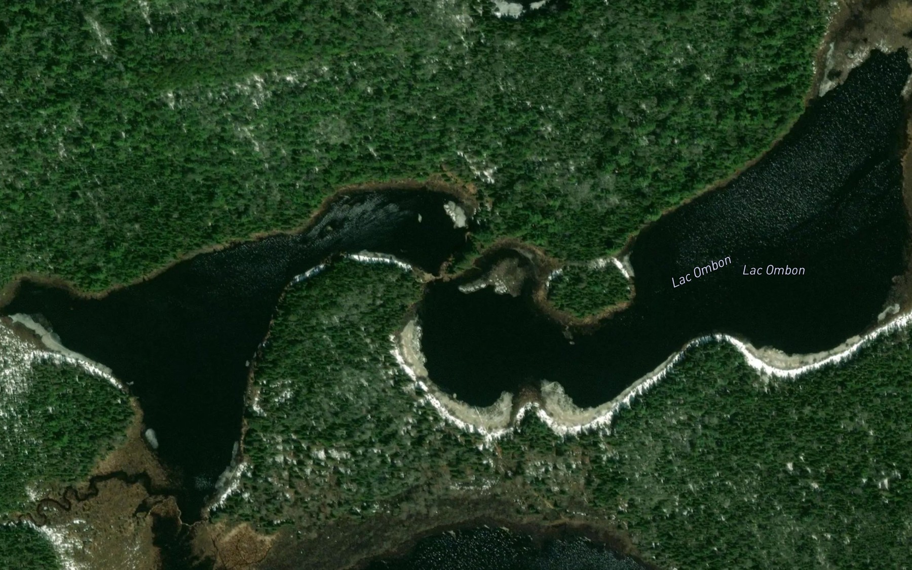 Satellite map of the Lac Ombon