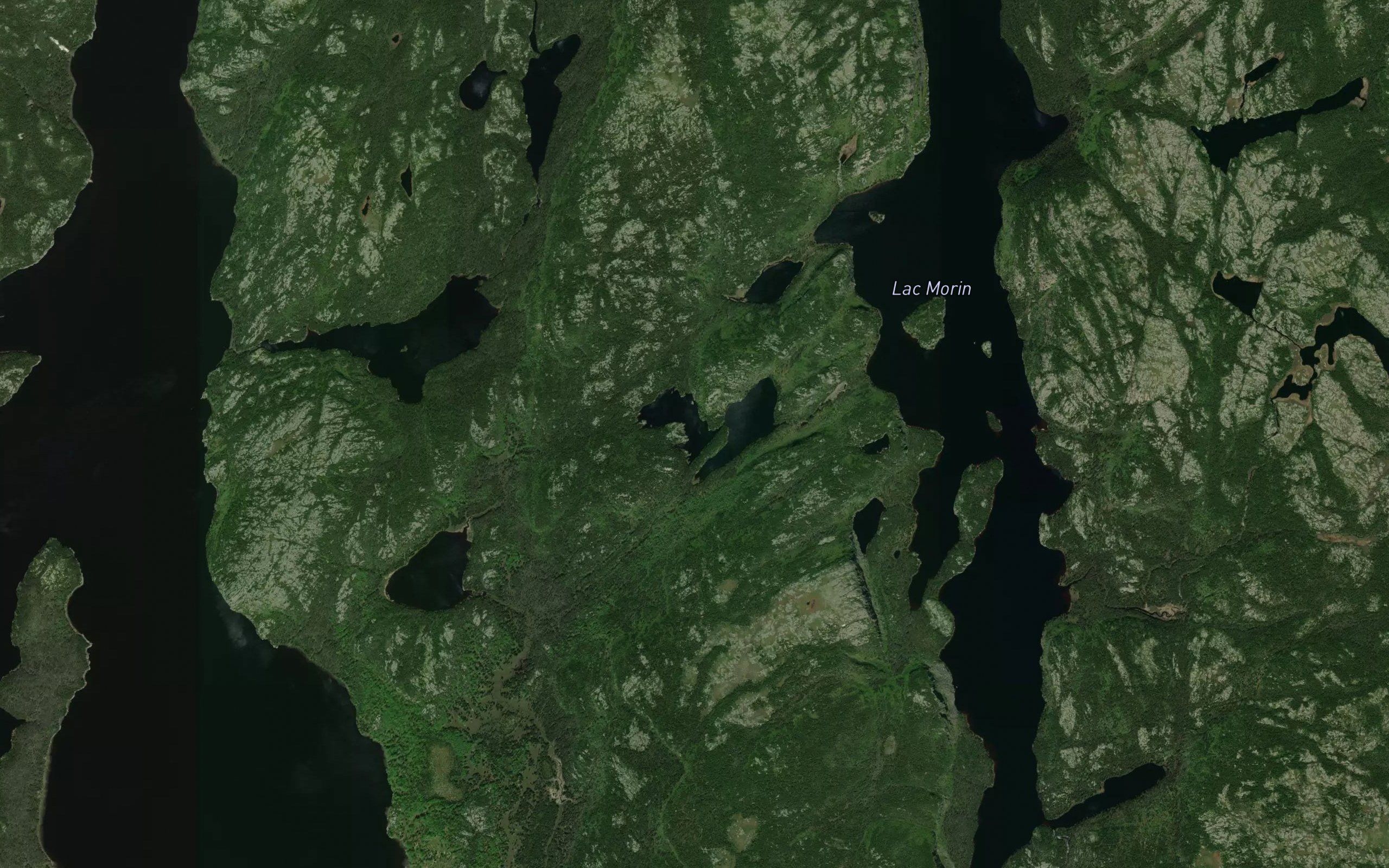 Lac Anheiser