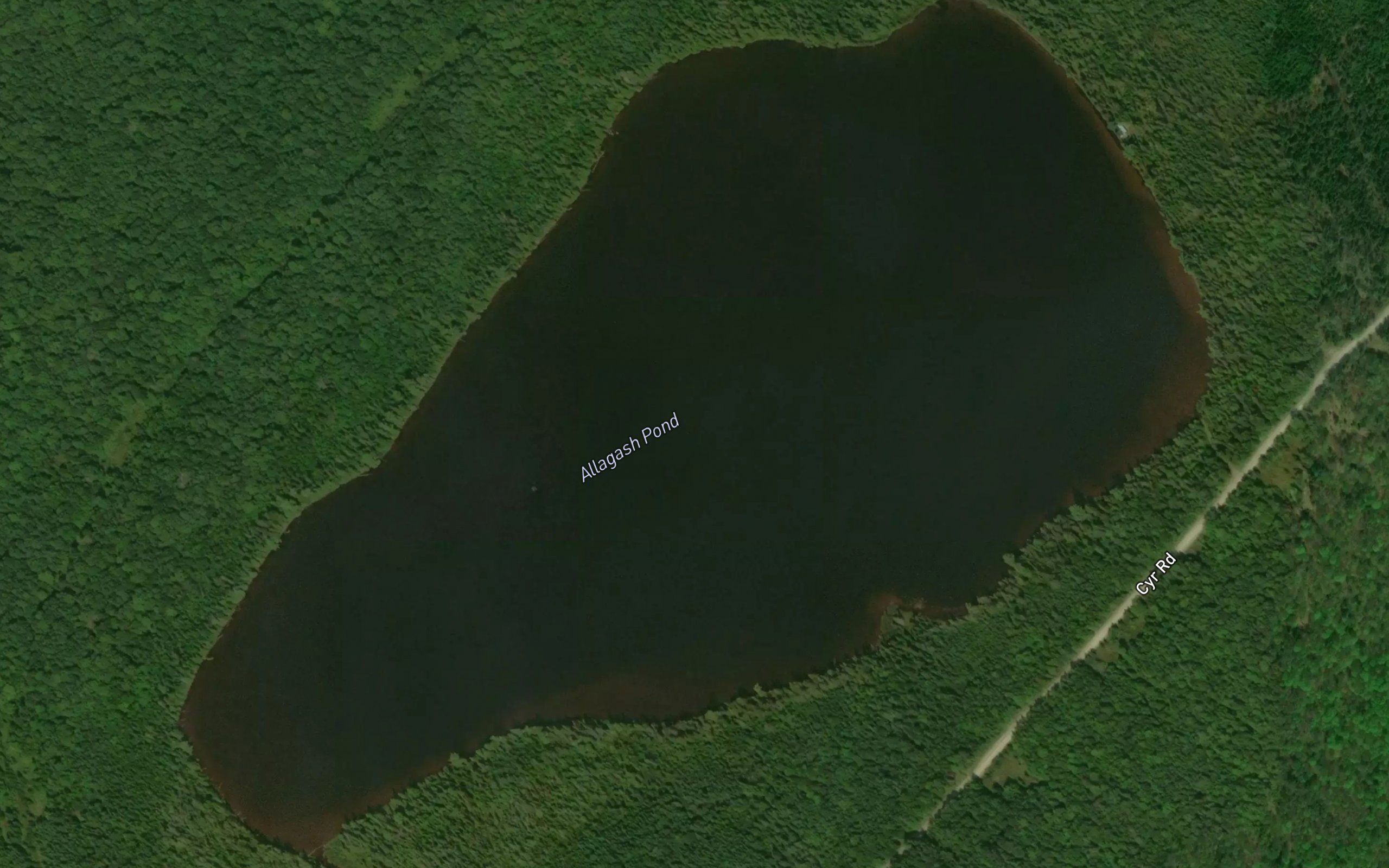 Allagash Pond