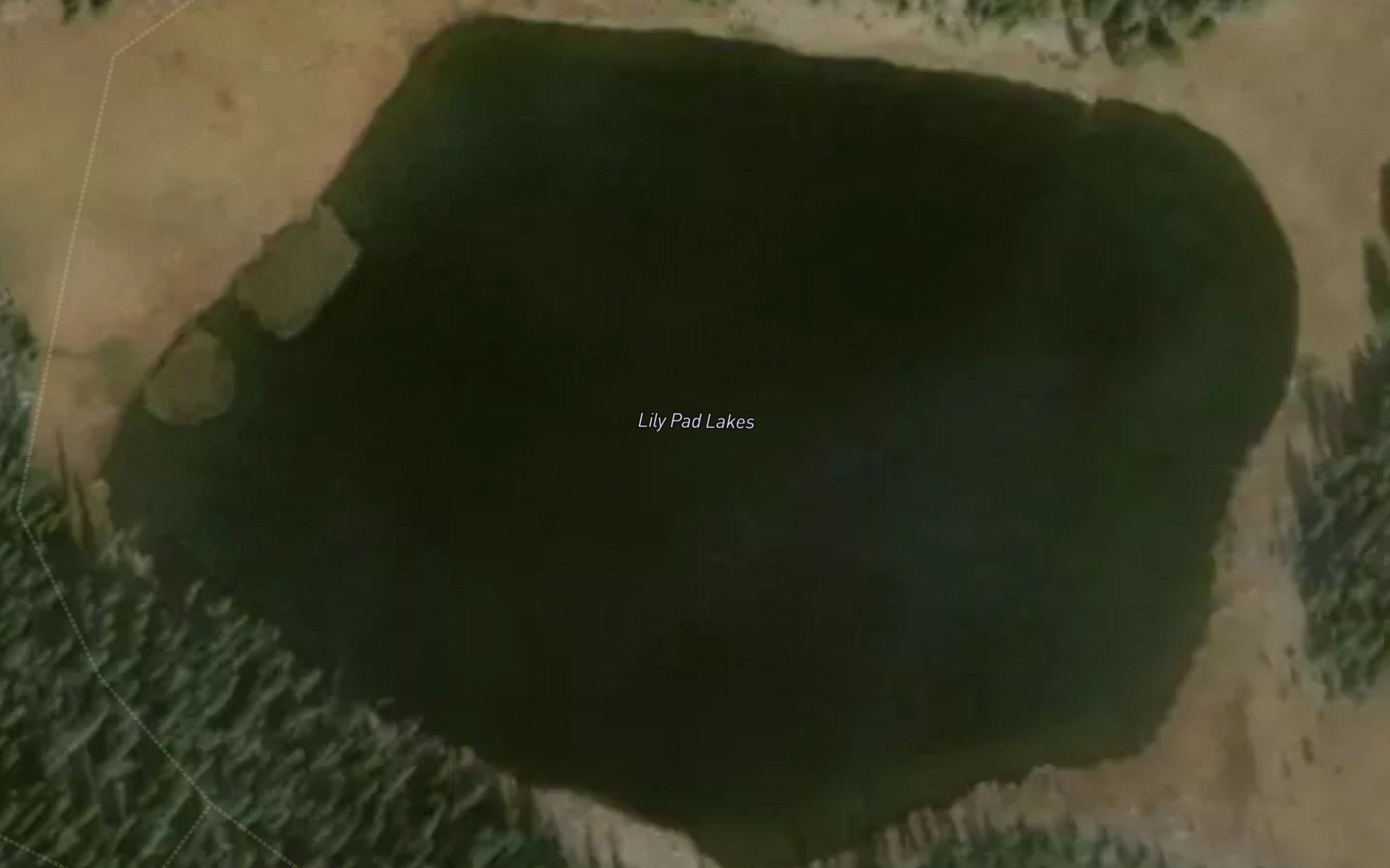 Lily Pad Lakes