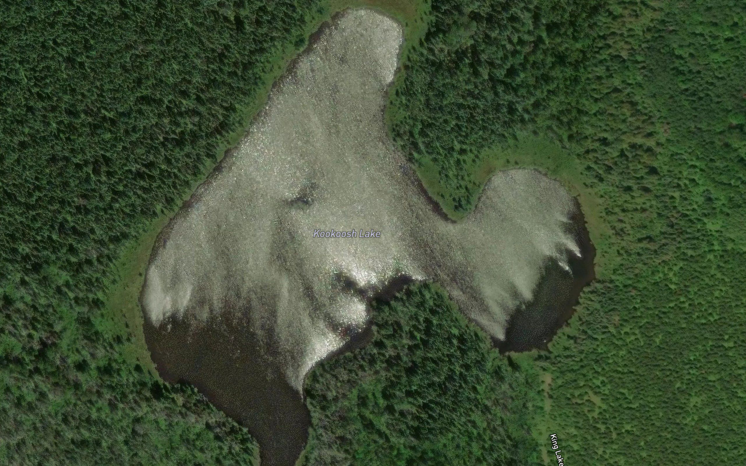 Kookoosh Lake