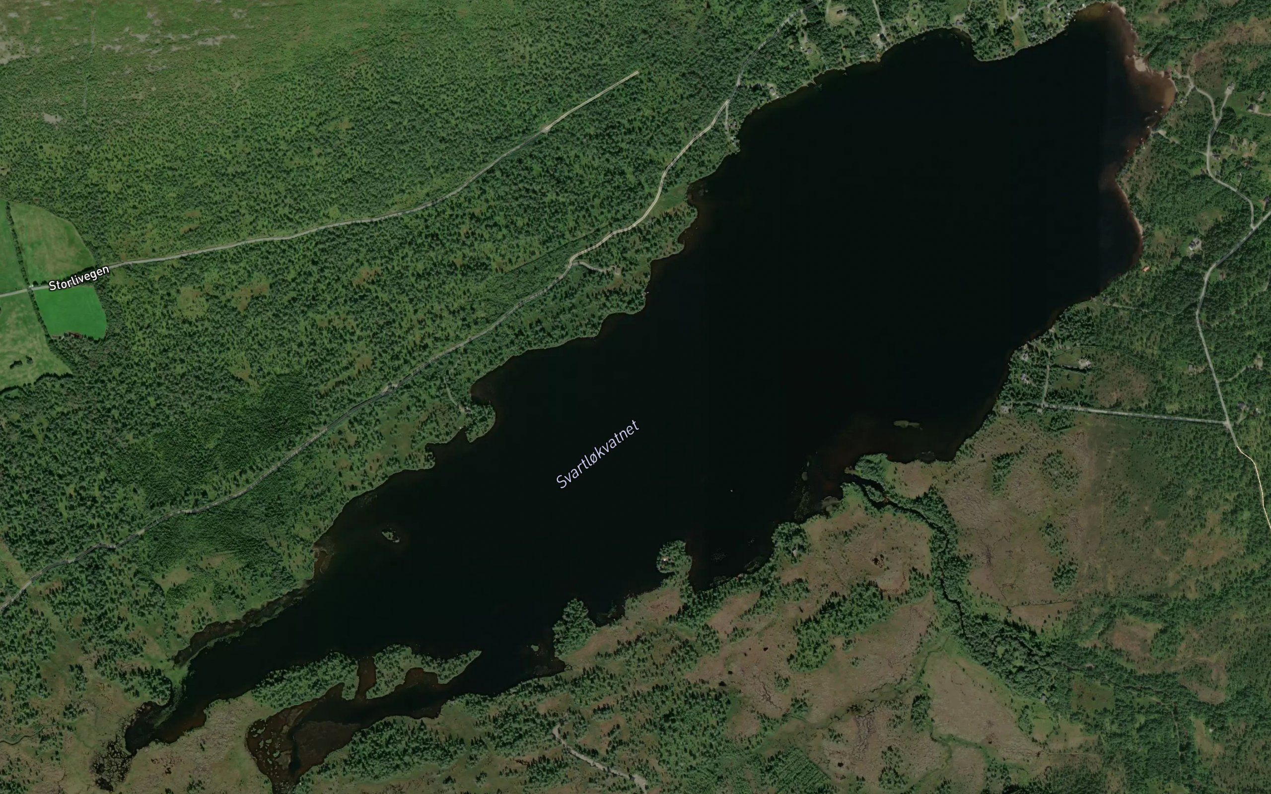 Svartlokvatnet