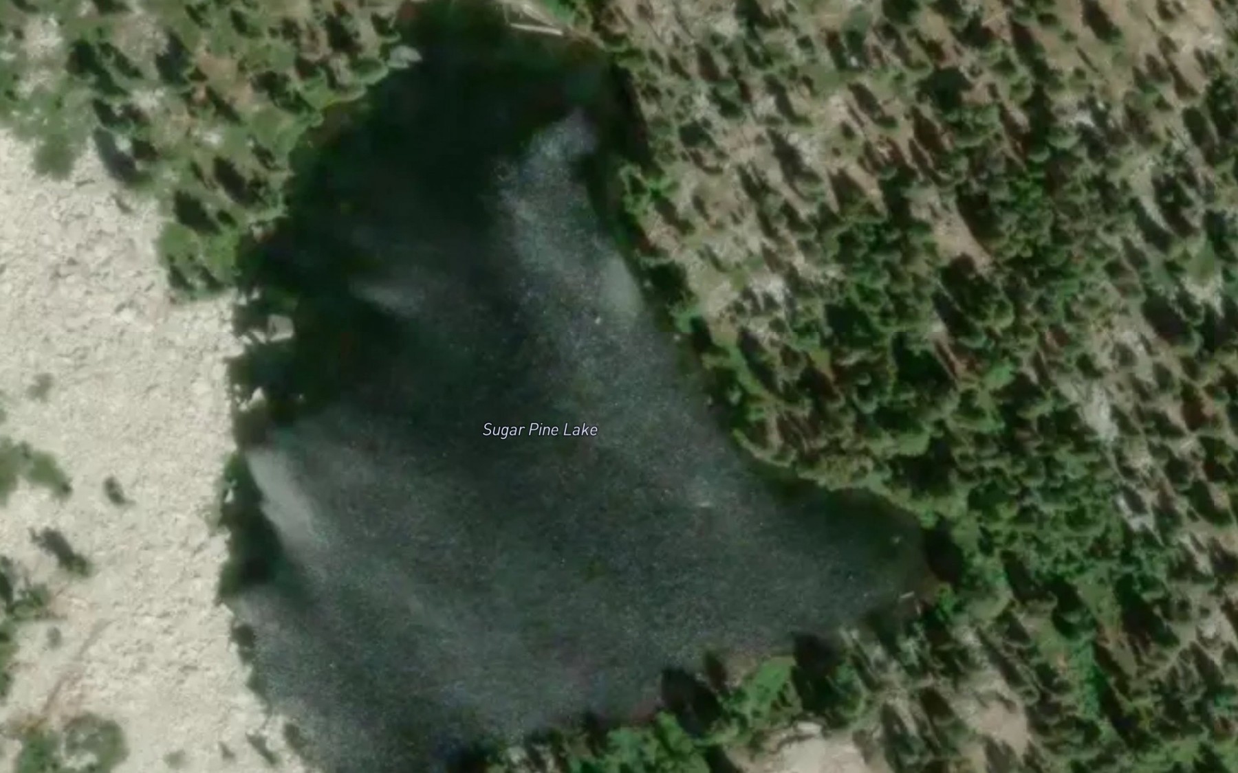 Satellite map of the Sugar Pine Lake