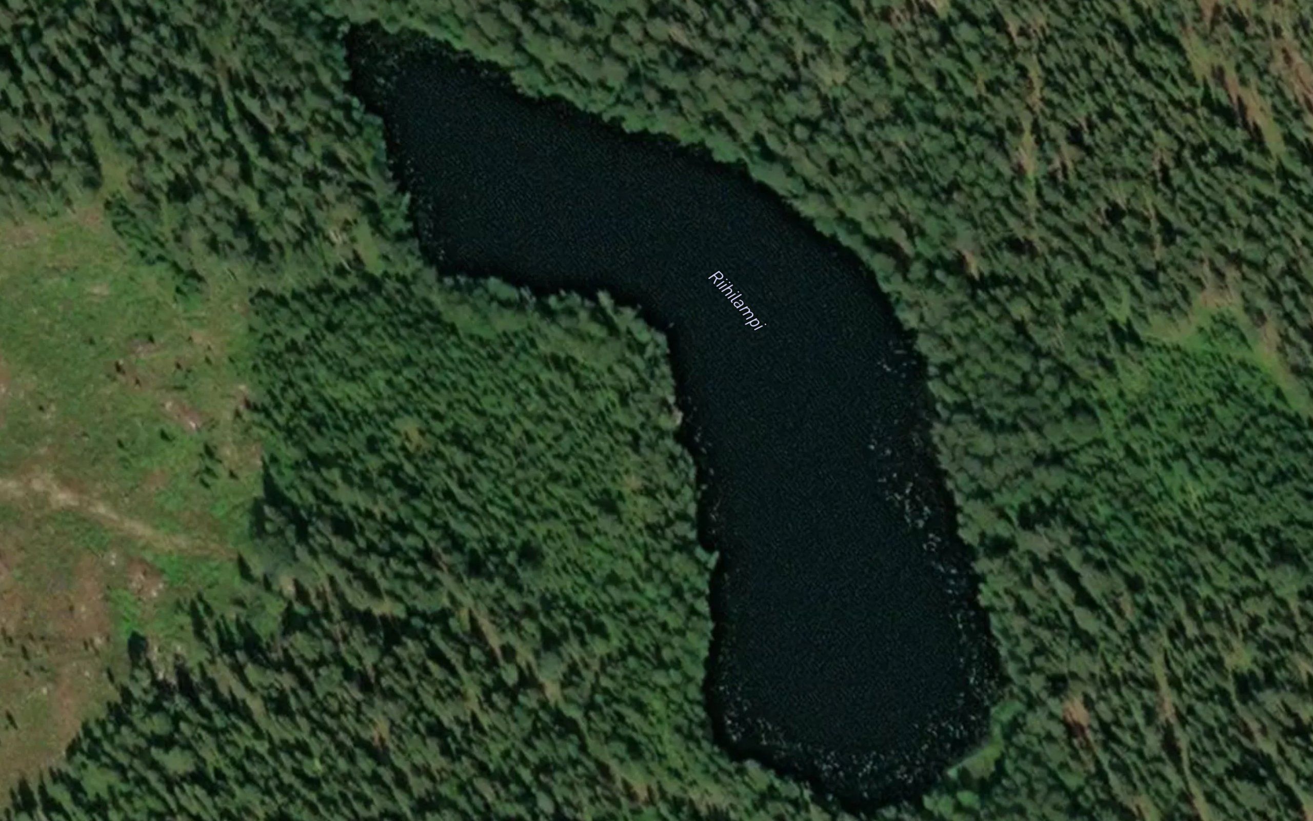 Riihilampi
